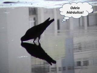 Odeio hidráulica! 