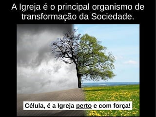 A Igreja é o principal organismo de
transformação da Sociedade.
Célula, é a Igreja perto e com força!
 