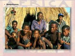Bosquimanos.