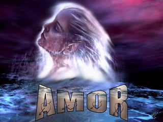 AMOR 