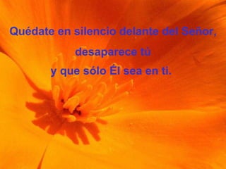 Quédate en silencio delante del Señor, desaparece tú y que sólo Él sea en ti.   