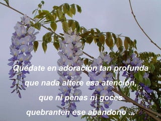 Quédate en adoración tan profund a que nada altere esa atención, que ni penas ni goces quebranten ese abandono ... 