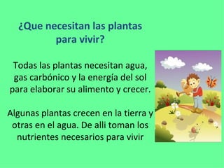 ¿Que necesitan las plantas para vivir? Todas las plantas necesitan agua, gas carbónico y la energía del sol para elaborar su alimento y crecer. Algunas plantas crecen en la tierra y otras en el agua. De alli toman los nutrientes necesarios para vivir 