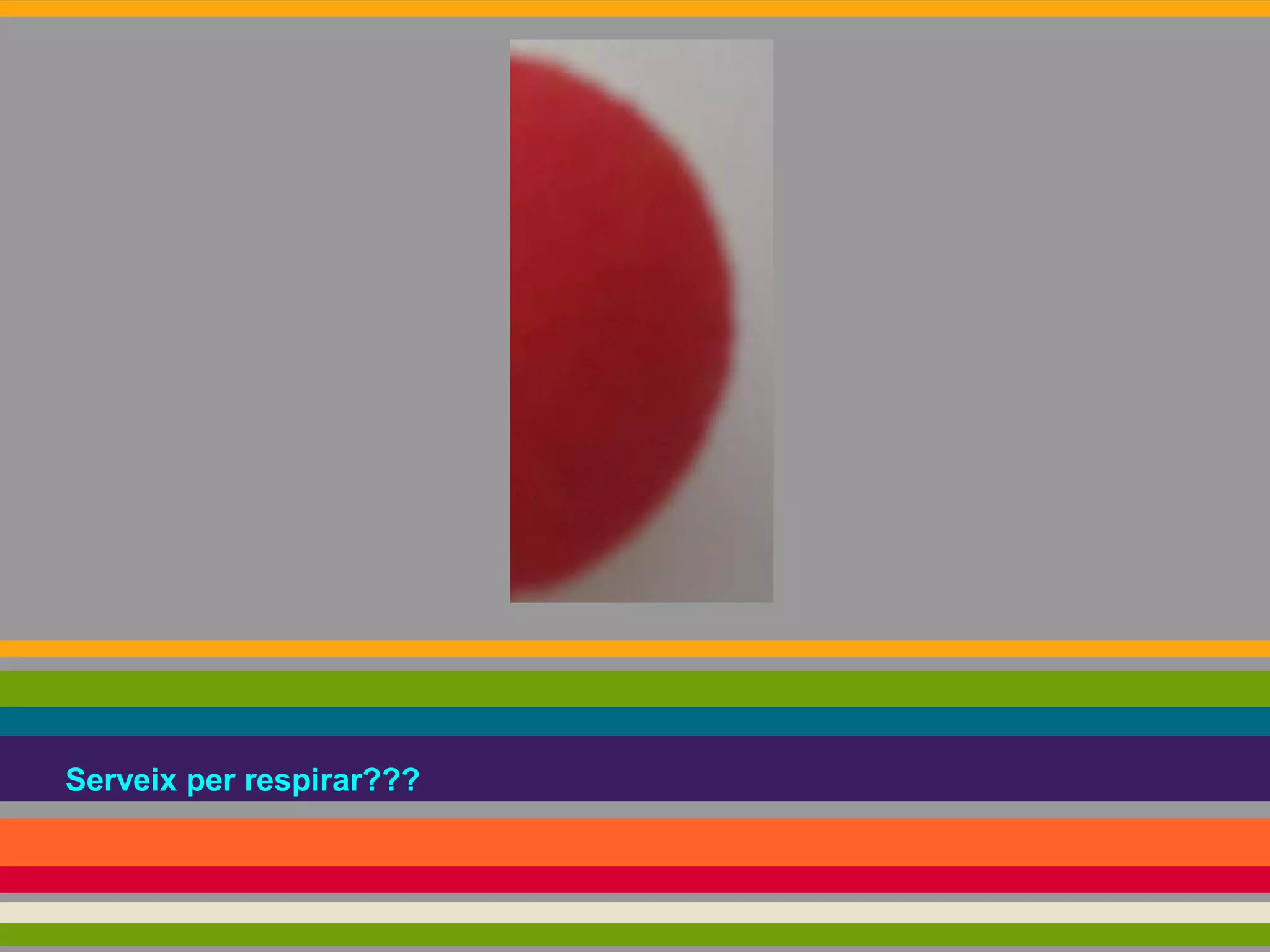 Serveix per respirar???

 