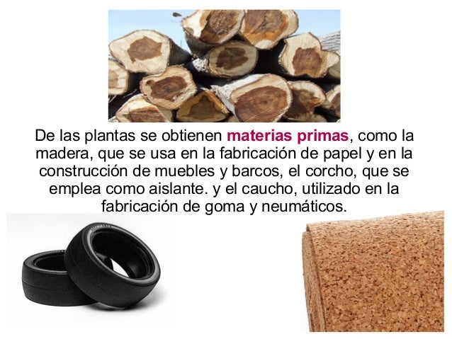 Como arreglar esto que se ha grabado en la grasa