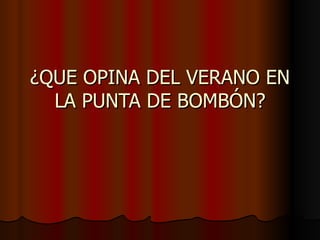 ¿QUE OPINA DEL VERANO EN LA PUNTA DE BOMBÓN? 