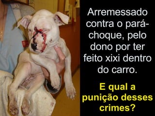 Arremessado contra o pará-choque, pelo dono por ter feito xixi dentro do carro. E qual a punição desses crimes? 