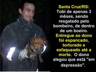 Santa Cruz/RS: Tobi de apenas 3 mêses, sendo resgatado pelo bombeiro, de dentro de um boeiro. Entregue ao dono foi espancado, torturado e esfaqueado até a morte.   O dono alegou que está "em depressão".   