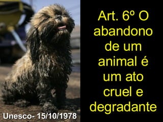 Art. 6º O abandono de um animal é um ato cruel e degradante Unesco- 15/10/1978 