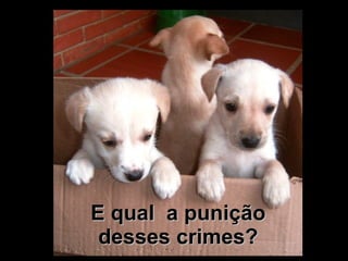 E qual  a punição desses crimes? 