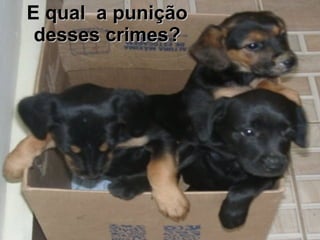 E qual  a punição desses crimes? 