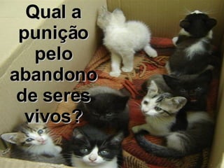 Qual a punição pelo abandono de seres vivos? 