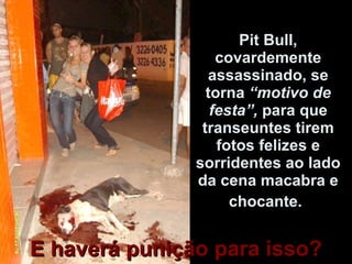 Pit Bull, covardemente assassinado, se torna  “motivo de festa”,  para que transeuntes tirem fotos felizes e sorridentes ao lado da cena macabra e chocante.   E haverá punição para isso? 