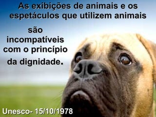 As exibições de animais e os espetáculos que utilizem animais são incompatíveis com o princípio da dignidade . Unesco- 15/10/1978 