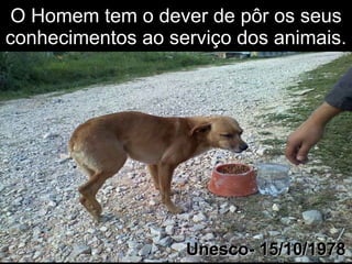 O Homem tem o dever de pôr os seus conhecimentos ao serviço dos animais .  Unesco- 15/10/1978 