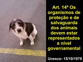 Art. 14º Os organismos de proteção e de salvaguarda dos animais devem estar representados a nível governamental Unesco- 15/10/1978 