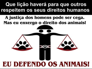 Que lição haverá para que outros respeitem os seus direitos humanos   