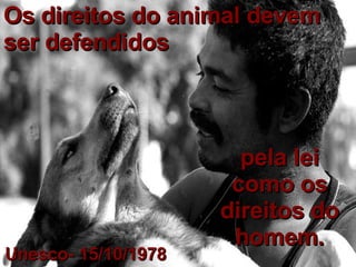 Os direitos do animal devem ser defendidos pela lei como os direitos do homem. Unesco- 15/10/1978 