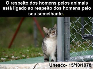 O respeito dos homens pelos animais está ligado ao respeito dos homens pelo seu semelhante .   Unesco- 15/10/1978 