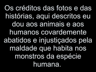Os créditos das fotos e das histórias, aqui descritos eu dou aos animais e aos humanos covardemente abatidos e injustiçados pela maldade que habita nos monstros da espécie humana.   