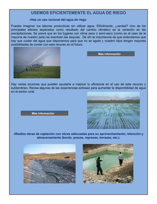 USEMOS EFICIENTEMENTE EL AGUA DE RIEGO
•Haz un uso racional del agua de riego
Puedes imaginar tus labores productivas sin utilizar agua. Difícilmente, ¿verdad? Uno de los
principales efectos esperados como resultado del cambio climático es la variación en las
i it i S é l l li i ( l d lprecipitaciones. Se prevé que en los lugares con clima seco o semi-seco (como es el caso de la
mayoría de nuestro país) se acentúen las sequías. De ahí la importancia de que entendamos que
hay que cuidar del agua que disponemos para que no se agote y nuestro hijos tengan mayores
posibilidades de contar con este recurso en el futuro.
Más información
Hay varias acciones que pueden ayudarte a mejorar tu eficiencia en el uso de este recurso y
subterráneo. Revisa algunas de las experiencias exitosas para aumentar la disponibilidad de agua
en el sector rural.
Más información
•Realiza obras de captación con obras adecuadas para su aprovechamiento, retención y
almacenamiento (bordo, presas, represas, terrazas, etc.).
 