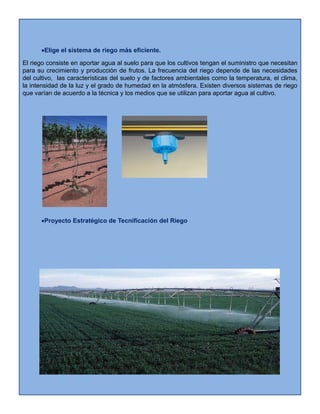 •Elige el sistema de riego más eficiente.
El riego consiste en aportar agua al suelo para que los cultivos tengan el suministro que necesitang p g p q g q
para su crecimiento y producción de frutos. La frecuencia del riego depende de las necesidades
del cultivo, las características del suelo y de factores ambientales como la temperatura, el clima,
la intensidad de la luz y el grado de humedad en la atmósfera. Existen diversos sistemas de riego
que varían de acuerdo a la técnica y los medios que se utilizan para aportar agua al cultivo.
•Proyecto Estratégico de Tecnificación del Riego
Más información
Más información
 