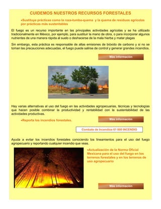 CUIDEMOS NUESTROS RECURSOS FORESTALES
•Sustituye prácticas como la roza-tumba-quema y la quema de residuos agrícolas
por prácticas más sustentables
El fuego es un recurso importante en las principales actividades agrícolas y se ha utilizado
t di i l t Mé i j l tit i l d b i ltradicionalmente en México, por ejemplo, para sustituir la mano de obra, o para incorporar algunos
nutrientes de una manera rápida al suelo o deshacerse de la mala hierba y matar plagas
Sin embargo, esta práctica es responsable de altas emisiones de bióxido de carbono y si no se
toman las precauciones adecuadas, el fuego puede salirse de control y generar grandes incendios.
Más informaciónMás información
Hay varias alternativas al uso del fuego en las actividades agropecuarias, técnicas y tecnologías
que hacen posible combinar la productividad y rentabilidad con la sustentabilidad de las
actividades productivas.
•Reporta los incendios forestales. Más información
Ayuda a evitar los incendios forestales conociendo los lineamientos para el uso del fuego
agropecuario y reportando cualquier incendio que veas.
•Actualización de la Norma Oficial
Combate de Incendios 01 800 INCENDIO
Mexicana para el uso del fuego en los
terrenos forestales y en los terrenos de
uso agropecuario
Más información
 