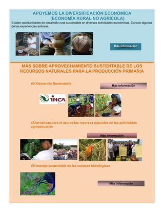 APOYEMOS LA DIVERSIFICACIÓN ECONÓMICA
(ECONOMÍA RURAL NO AGRÍCOLA)
Existen oportunidades de desarrollo rural sustentable en diversas actividades económicas. Conoce algunas
de las experiencias exitosas.
Más información
MÁS SOBRE APROVECHAMIENTO SUSTENTABLE DE LOS
RECURSOS NATURALES PARA LA PRODUCCIÓN PRIMARIA
•El Desarrollo Sustentable
Más información
•Alternativas para el uso de los recursos naturales en las actividades
agropecuarias
Más información
•El manejo sustentable de las cuencas hidrológicas
Más información
 