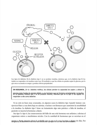 Los tipos de diabetes. En la diabetes tipo I, no se produce insulina, mientras que, en la diabetes tipo II, los
Los tipos de diabetes. En la diabetes tipo I, no se produce insulina, mientras que, en la diabetes tipo II, los
tejidos no responden a la insulina como toca. El resultado es que las células no pueden captar la glucosa, por lo
tejidos no responden a la insulina como toca. El resultado es que las células no pueden captar la glucosa, por lo
que esta se acumula en sangre y produce efectos perjudiciales.
que esta se acumula en sangre y produce efectos perjudiciales.
EN RESUMEN...
EN RESUMEN...En la
En la diabetes mellitus, las células pierden la capacidad de captar y utilizar la
diabetes mellitus, las células pierden la capacidad de captar y utilizar la
glucosa como fuente de energía debido a una hormona que no funciona correctamente: la insulina.
glucosa como fuente de energía debido a una hormona que no funciona correctamente: la insulina.
En la diabetes mellitus tipo I no se produce insulina, mientras que en la tipo II los tejidos no
En la diabetes mellitus tipo I no se produce insulina, mientras que en la tipo II los tejidos no
responden a ella como deberían.
responden a ella como deberían.
Si no está en fases muy avanzadas, en algunos casos la diabetes tipo
Si no está en fases muy avanzadas, en algunos casos la diabetes tipo II
II puede tratarse con
puede tratarse con
ejercicio físi
ejercicio físico y u
co y una dieta baja en caloría
na dieta baja en calorías, o incluso
s, o incluso con fármacos que
con fármacos que aumenten la sensibilidad
aumenten la sensibilidad
a la insulina. La diabetes tipo I tiene un tratamiento algo más práctico: a falta de insulina, el
a la insulina. La diabetes tipo I tiene un tratamiento algo más práctico: a falta de insulina, el
paciente se inyecta la hormona a diario.
paciente se inyecta la hormona a diario.
Sea tipo I o tipo
Sea tipo I o tipo II
II, las consecuencias del fallo de una sola hormona son nefastas y afectan al
, las consecuencias del fallo de una sola hormona son nefastas y afectan al
organismo entero a muchísimos niveles. Con la cantidad de hormonas que se secretan en el
organismo entero a muchísimos niveles. Con la cantidad de hormonas que se secretan en el
cuerpo a diario, imagina ahora lo probable que es que se le vaya la pinza a alguna de ellas. Por
cuerpo a diario, imagina ahora lo probable que es que se le vaya la pinza a alguna de ellas. Por
desgracia, la di
desgracia, la diabetes es tan solo un
abetes es tan solo un minúscu
minúsculo ejemplo en un mar de adversidades.
lo ejemplo en un mar de adversidades.
 