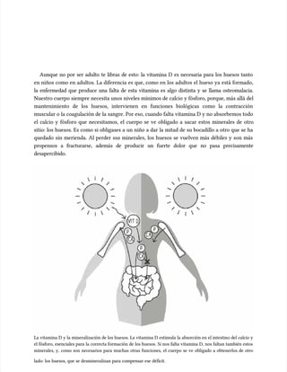 Aunque no por ser adulto te libras de esto: la vitamina D es necesaria para los huesos tanto
Aunque no por ser adulto te libras de esto: la vitamina D es necesaria para los huesos tanto
en niños como en adultos. La diferencia es que, como en los adultos el hueso ya está formado,
en niños como en adultos. La diferencia es que, como en los adultos el hueso ya está formado,
la enfermedad que produce una falta de esta vitamina es algo distinta y se llama osteomalacia.
la enfermedad que produce una falta de esta vitamina es algo distinta y se llama osteomalacia.
Nuestro cuerpo siempre necesita unos niveles mínimos de calcio y fósforo, porque, más allá del
Nuestro cuerpo siempre necesita unos niveles mínimos de calcio y fósforo, porque, más allá del
mantenimiento de los huesos, intervienen en funciones biológicas como la contracción
mantenimiento de los huesos, intervienen en funciones biológicas como la contracción
muscular o la coagulación de la sangre. Por eso, cuando falta vitamina D y no absorbemos todo
muscular o la coagulación de la sangre. Por eso, cuando falta vitamina D y no absorbemos todo
el calcio y fósforo que necesitamos, el cuerpo se ve obligado a sacar estos minerales de otro
el calcio y fósforo que necesitamos, el cuerpo se ve obligado a sacar estos minerales de otro
sitio: los huesos. Es como si obligases a un niño a dar la mitad de su bocadillo a otro que se ha
sitio: los huesos. Es como si obligases a un niño a dar la mitad de su bocadillo a otro que se ha
quedado sin merienda. Al perder sus minerales, los huesos se vuelven más débiles y son más
quedado sin merienda. Al perder sus minerales, los huesos se vuelven más débiles y son más
propensos a fracturarse, además de producir un fuerte dolor que no pasa precisamente
propensos a fracturarse, además de producir un fuerte dolor que no pasa precisamente
desapercibido.
desapercibido.
La vitamina D y la mineralización de los huesos. La vitamina D estimula la absorción en el intestino del calcio y
La vitamina D y la mineralización de los huesos. La vitamina D estimula la absorción en el intestino del calcio y
el fósforo, esenciales para la correcta formación de los huesos. Si nos falta vitamina D, nos faltan también estos
el fósforo, esenciales para la correcta formación de los huesos. Si nos falta vitamina D, nos faltan también estos
minerales, y, como son necesarios para muchas otras funciones, el cuerpo se ve obligado a obtenerlos de otro
minerales, y, como son necesarios para muchas otras funciones, el cuerpo se ve obligado a obtenerlos de otro
lado: los huesos, que se desmineralizan para compensar ese déficit.
lado: los huesos, que se desmineralizan para compensar ese déficit.
 