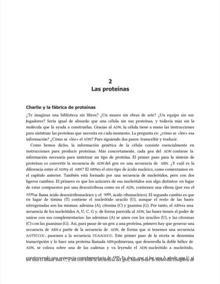 2
2
Las proteínas
Las proteínas
Charlie y la fábrica de proteínas
Charlie y la fábrica de proteínas
¿Te imaginas una biblioteca sin libros? ¿Un museo sin obras de arte? ¿Un equipo sin sus
¿Te imaginas una biblioteca sin libros? ¿Un museo sin obras de arte? ¿Un equipo sin sus
ugadores? Sería igual de absurdo que una célula sin sus proteínas, y todavía más sin la
ugadores? Sería igual de absurdo que una célula sin sus proteínas, y todavía más sin la
molécula que la ayuda a construirlas. Gracias al
molécula que la ayuda a construirlas. Gracias al ADN
ADN, la célula tiene a mano las instrucciones
, la célula tiene a mano las instrucciones
para sinte
para sintetiz
tizar las proteí
ar las proteínas que
nas que necesita en c
necesita en cada momento. La pregunta es:
ada momento. La pregunta es: ¿cómo se
¿cómo se «lee» esa
«lee» esa
informació
información? ¿Cómo se
n? ¿Cómo se «lee» el
«lee» el ADN
ADN? Pues siguiendo dos pasos: transcribir y traducir.
? Pues siguiendo dos pasos: transcribir y traducir.
Como hemos dicho, la información genética de la célula consiste esencialmente en
Como hemos dicho, la información genética de la célula consiste esencialmente en
instrucciones para producir proteínas. Más concretamente, cada gen del
instrucciones para producir proteínas. Más concretamente, cada gen del ADN
ADN contiene la
contiene la
información necesaria para sintetizar un tipo de proteína. El primer paso para la síntesis de
información necesaria para sintetizar un tipo de proteína. El primer paso para la síntesis de
proteínas es convertir la secuencia de
proteínas es convertir la secuencia de ADN
ADN del gen en una secuencia de
del gen en una secuencia de ARN
ARN. ¿Y cuál es la
. ¿Y cuál es la
diferencia entre el
diferencia entre el ADN
ADNy el
y el ARN
ARN? El
? El ARN
ARNes el otro tipo de ácido nucleico, como comen
es el otro tipo de ácido nucleico, como comentamos en
tamos en
el capítulo anterior. También está formado por una secuencia de nucleótidos, pero con dos
el capítulo anterior. También está formado por una secuencia de nucleótidos, pero con dos
ligeros cambios. El primero es que los azúcares de sus nucleótidos son algo distintos: en lugar
ligeros cambios. El primero es que los azúcares de sus nucleótidos son algo distintos: en lugar
de estar compuestos por una desoxirribosa como en el
de estar compuestos por una desoxirribosa como en el ADN
ADN, contienen una ribosa (por eso el
, contienen una ribosa (por eso el
ADN
ADNse llama ácido desoxirribonucleico y el
se llama ácido desoxirribonucleico y el ARN
ARN, ácido ribonucleico). El segundo cambio es que
, ácido ribonucleico). El segundo cambio es que
en lugar de timina (T) contiene el nucleótido uracilo (U), aunque el resto de las bases
en lugar de timina (T) contiene el nucleótido uracilo (U), aunque el resto de las bases
nitrogenadas son las mismas: adenina (A), citosina (C) y guanina (G). Por tanto, el
nitrogenadas son las mismas: adenina (A), citosina (C) y guanina (G). Por tanto, el ARN
ARNes una
es una
secuencia de los nucleótidos A, U, C, G y, de forma parecida al
secuencia de los nucleótidos A, U, C, G y, de forma parecida al ADN
ADN, las bases tienen el poder de
, las bases tienen el poder de
unirse con sus complementarias: las adeninas (A) se unen con los uracilos (U), y las citosinas
unirse con sus complementarias: las adeninas (A) se unen con los uracilos (U), y las citosinas
(C) c
(C) con las guaninas (G).
on las guaninas (G). Así, para p
Así, para pasar de un gen
asar de un gen a una proteína, pr
a una proteína, primero hay que generar una
imero hay que generar una
secuencia de
secuencia de ARN
ARN a partir de la secuencia de
a partir de la secuencia de ADN
ADN, de forma que si tenemos una secuencia
, de forma que si tenemos una secuencia
AATTCCGC
AATTCCGC, pasemos a la secuencia
, pasemos a la secuencia UUAAGGCG
UUAAGGCG. Este primer paso de la receta se denomina
. Este primer paso de la receta se denomina
transcripción y lo hace una proteína llamada
transcripción y lo hace una proteína llamada ARN
ARNpolimerasa, que desenrolla la doble hélice de
polimerasa, que desenrolla la doble hélice de
ADN
ADN, se coloca sobre una de las cadenas y va leyendo el
, se coloca sobre una de las cadenas y va leyendo el ADN
ADN nucleótido a nucleótido,
nucleótido a nucleótido,
construyendo una secuencia complementaria de
construyendo una secuencia complementaria de ARN
ARN. Es decir, que si lee una A añade una U, si
. Es decir, que si lee una A añade una U, si
lee una G añade una C, y así con toda la secuencia del gen, hasta tener la molécula completa de
lee una G añade una C, y así con toda la secuencia del gen, hasta tener la molécula completa de
 