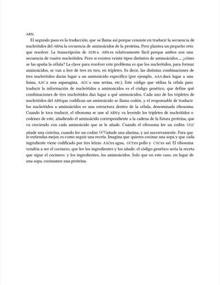 ARN
ARN.
.
El segundo paso es la trad
El segundo paso es la traducción, que
ucción, que se llama así porque consiste en traducir la secuenc
se llama así porque consiste en traducir la secuencia de
ia de
nucleótidos del
nucleótidos del ARN
ARNa la s
a la secuencia de
ecuencia de aminoácido
aminoácidos de la
s de la prot
proteína. Pero plantea un pequeño reto
eína. Pero plantea un pequeño reto
que resolver. La transcripción de
que resolver. La transcripción de ADN
ADN a
a ARN
ARN es relativamente fácil porque ambos son una
es relativamente fácil porque ambos son una
secuencia de cuatro nucleótidos. Pero si existen veinte tipos distintos de aminoácidos..., ¿cómo
secuencia de cuatro nucleótidos. Pero si existen veinte tipos distintos de aminoácidos..., ¿cómo
se las apaña la célula? La clave para resolver este problema es que los nucleótidos, para formar
se las apaña la célula? La clave para resolver este problema es que los nucleótidos, para formar
aminoácidos, se van a leer de tres en tres, en tripletes. Es decir, las distintas combinaciones de
aminoácidos, se van a leer de tres en tres, en tripletes. Es decir, las distintas combinaciones de
tres nucleótidos darán lugar a un aminoácido específico (por ejemplo,
tres nucleótidos darán lugar a un aminoácido específico (por ejemplo, AAA
AAA dará lugar a una
dará lugar a una
lisina,
lisina, AAC
AAC a una asparagina,
a una asparagina, AGC
AGC a una serina, etc.). Este código que utiliza la célula para
a una serina, etc.). Este código que utiliza la célula para
traducir la información de nucleótidos a aminoácidos es el código genético, que define qué
traducir la información de nucleótidos a aminoácidos es el código genético, que define qué
combinaciones de tres nucleótidos dan lugar a qué aminoácidos. Cada uno de los tripletes de
combinaciones de tres nucleótidos dan lugar a qué aminoácidos. Cada uno de los tripletes de
nucleótidos del
nucleótidos del ARN
ARNque codifican un aminoácido se llama codón, y el responsable de traducir
que codifican un aminoácido se llama codón, y el responsable de traducir
los nucleótidos a aminoácidos es una estructura dentro de la célula, denominada ribosoma.
los nucleótidos a aminoácidos es una estructura dentro de la célula, denominada ribosoma.
Cuando le toca traducir, el ribosoma se une al
Cuando le toca traducir, el ribosoma se une al ARN
ARNy va leyendo los tripletes de nucleótidos o
y va leyendo los tripletes de nucleótidos o
codones de este, añadiendo el aminoácido correspondiente a la cadena de la futura proteína, que
codones de este, añadiendo el aminoácido correspondiente a la cadena de la futura proteína, que
va creciendo con cada aminoácido que se le añade. Cuando el ribosoma lee un codón
va creciendo con cada aminoácido que se le añade. Cuando el ribosoma lee un codón UGC
UGC
añade una cisteína, cuando lee un codón
añade una cisteína, cuando lee un codón GCU
GCUañade una alanina, y así sucesivamente. Para que
añade una alanina, y así sucesivamente. Para que
lo entiendas mejor
lo entiendas mejor, es c
, es como seguir una receta. Imagina que
omo seguir una receta. Imagina que quieres cocinar una sopa y que
quieres cocinar una sopa y que cada
cada
ingrediente viene codificado por tres letras:
ingrediente viene codificado por tres letras: AAC
AACes agua,
es agua, GCU
GCUes pollo y
es pollo y CAC
CACes sal. El ribosoma
es sal. El ribosoma
vendría a ser el cocinero, que lee los ingredientes y los añade; el código genético sería la receta
vendría a ser el cocinero, que lee los ingredientes y los añade; el código genético sería la receta
que sigue el cocinero; y los ingredientes, los aminoácidos. Solo que en este caso, en lugar de
que sigue el cocinero; y los ingredientes, los aminoácidos. Solo que en este caso, en lugar de
una sopa, cocinamos
una sopa, cocinamos una proteína.
una proteína.
 