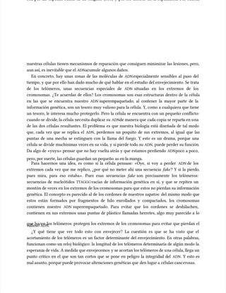 sol, por las especies reactivas de oxígeno (
sol, por las especies reactivas de oxígeno (ROS
ROS) y por los errores en la replicación. Por suerte,
) y por los errores en la replicación. Por suerte,
nuestras células tienen mecanismos de reparación que consiguen minimizar las lesiones, pero,
nuestras células tienen mecanismos de reparación que consiguen minimizar las lesiones, pero,
aun así, es inevitable que el
aun así, es inevitable que el ADN
ADNacumule algunos daños.
acumule algunos daños.
En concreto, hay unas zonas de las moléculas de
En concreto, hay unas zonas de las moléculas de ADN
ADN especialmente sensibles al paso del
especialmente sensibles al paso del
tiempo, y que por ello han dado mucho de qué hablar en el estudio del envejecimiento. Se trata
tiempo, y que por ello han dado mucho de qué hablar en el estudio del envejecimiento. Se trata
de los telómeros, unas secuencias especiales de
de los telómeros, unas secuencias especiales de ADN
ADN situadas en los extremos de los
situadas en los extremos de los
cromosomas. ¿Te acuerdas de ellos? Los cromosomas son esas estructuras dentro de la célula
cromosomas. ¿Te acuerdas de ellos? Los cromosomas son esas estructuras dentro de la célula
en las que se encuentra nuestro
en las que se encuentra nuestro ADN
ADN superempaquetado; al contener la mayor parte de la
superempaquetado; al contener la mayor parte de la
información genética, son un tesoro muy valioso para la célula. Y, como a cualquiera que tiene
información genética, son un tesoro muy valioso para la célula. Y, como a cualquiera que tiene
un tesoro, le interesa mucho protegerlo. Pero la célula se encuentra con un pequeño conflicto:
un tesoro, le interesa mucho protegerlo. Pero la célula se encuentra con un pequeño conflicto:
cuando se
cuando se divide
divide, la célula nec
, la célula necesita dupli
esita duplicar su
car su ADN
ADNde manera que
de manera que cada copia se repart
cada copia se reparta en u
a en una
na
de las dos células resultantes. El problema es que nuestra biología está diseñada de tal modo
de las dos células resultantes. El problema es que nuestra biología está diseñada de tal modo
que, cada vez que se replica el
que, cada vez que se replica el ADN
ADN, perdemos un poquito de sus extremos, al igual que las
, perdemos un poquito de sus extremos, al igual que las
puntas de una mecha se extinguen con la llama del fuego. Y esto es un drama, porque una
puntas de una mecha se extinguen con la llama del fuego. Y esto es un drama, porque una
célula se divide muchísimas veces en su vida, y si pierde todo su
célula se divide muchísimas veces en su vida, y si pierde todo su ADN
ADN, puede perder su función.
, puede perder su función.
Da algo de «yuyu» pensar que no hay vuelta atrás y que estamos perdiendo
Da algo de «yuyu» pensar que no hay vuelta atrás y que estamos perdiendo ADN
ADNpoco a poco,
poco a poco,
pero, p
pero, por suerte, las células guardan un pequeño
or suerte, las células guardan un pequeño as en la manga.
as en la manga.
Para hacernos una idea, es como si la célula pensase: «Oye, si voy a perder
Para hacernos una idea, es como si la célula pensase: «Oye, si voy a perder ADN
ADN de los
de los
extremos cada vez que me replico, ¿por qué no meter ahí una secuencia
extremos cada vez que me replico, ¿por qué no meter ahí una secuencia fake
fake? Y si la pierdo,
? Y si la pierdo,
pues mira, para eso estaba». Pues esas secuencias
pues mira, para eso estaba». Pues esas secuencias fake
fake son precisamente los telómeros:
son precisamente los telómeros:
secuencias de nucleótidos
secuencias de nucleótidos TTAGGG
TTAGGGvacías de información genética en sí, y que se repiten un
vacías de información genética en sí, y que se repiten un
montón de veces en los extremos de los cromosomas para que estos no pierdan su información
montón de veces en los extremos de los cromosomas para que estos no pierdan su información
genética. El concepto es parecido al de los cordones de nuestros zapatos: del mismo modo que
genética. El concepto es parecido al de los cordones de nuestros zapatos: del mismo modo que
estos están formados por fragmentos de hilo enrollados y compactados, los cromosomas
estos están formados por fragmentos de hilo enrollados y compactados, los cromosomas
contienen nuestro
contienen nuestro ADN
ADN superempaquetado. Para evitar que los cordones se deshilachen,
superempaquetado. Para evitar que los cordones se deshilachen,
contienen en sus extremos unas puntas de plástico llamadas herretes, algo muy parecido a lo
contienen en sus extremos unas puntas de plástico llamadas herretes, algo muy parecido a lo
que hacen los telómeros: protegen los extremos de los cromosomas para evitar que pierdan el
que hacen los telómeros: protegen los extremos de los cromosomas para evitar que pierdan el
valioso
valioso ADN
ADN.
.
¿Y qué tiene que ver todo esto con envejecer? La cuestión es que se ha visto que el
¿Y qué tiene que ver todo esto con envejecer? La cuestión es que se ha visto que el
acortamiento de los telómeros es un factor determinante del envejecimiento. En otras palabras,
acortamiento de los telómeros es un factor determinante del envejecimiento. En otras palabras,
funcionan como un reloj biológico: la longitud de los telómeros determinaría de algún modo la
funcionan como un reloj biológico: la longitud de los telómeros determinaría de algún modo la
esperanz
esperanza de vida. A medida que envejecemos
a de vida. A medida que envejecemos y se acortan los telómeros de u
y se acortan los telómeros de una célula, llega un
na célula, llega un
punto crítico en el que son tan cortos que se pone en peligro la integridad del
punto crítico en el que son tan cortos que se pone en peligro la integridad del ADN
ADN. Y esto es
. Y esto es
mal asunto, porque puede provocar alter
mal asunto, porque puede provocar alteraciones genéticas que
aciones genéticas que den lugar a
den lugar a células canc
células cancerosas.
erosas.
 