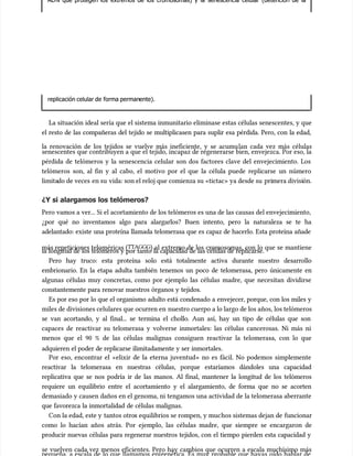 AD
ADN
N que
que protegen
protegen los
los extremos
extremos de
de los
los cromosomas)
cromosomas) y
y la
la senescencia
senescencia celular
celular (detención
(detención de
de la
la
replicación celular de
replicación celular de forma perman
forma permanente).
ente).
La situación ideal sería que el sistema inmunitario eliminase estas células senescentes, y que
La situación ideal sería que el sistema inmunitario eliminase estas células senescentes, y que
el resto de las compañeras del tejido se multiplicasen para suplir esa pérdida. Pero, con la edad,
el resto de las compañeras del tejido se multiplicasen para suplir esa pérdida. Pero, con la edad,
la renovación de los tejidos se vuelve más ineficiente, y se acumu
la renovación de los tejidos se vuelve más ineficiente, y se acumulan cada vez más células
lan cada vez más células
senescentes que contribuyen a que el tejido, incapaz de regenerarse bien, envejezca. Por eso, la
senescentes que contribuyen a que el tejido, incapaz de regenerarse bien, envejezca. Por eso, la
pérdida de telómeros y la senescencia celular son dos factores clave del envejecimiento. Los
pérdida de telómeros y la senescencia celular son dos factores clave del envejecimiento. Los
telómeros son, al fin y al cabo, el motivo por el que la célula puede replicarse un número
telómeros son, al fin y al cabo, el motivo por el que la célula puede replicarse un número
limita
limitado de veces
do de veces en su
en su vida: son el reloj que comienza su «tictac» ya desde su
vida: son el reloj que comienza su «tictac» ya desde su pri
primera divisi
mera división.
ón.
¿Y si alargamos los telómeros?
¿Y si alargamos los telómeros?
Pero vamos a ver... Si el acortamiento de los telómeros es una de las causas del envejecimiento,
Pero vamos a ver... Si el acortamiento de los telómeros es una de las causas del envejecimiento,
¿por qué no inventamos algo para alargarlos? Buen intento, pero la naturaleza se te ha
¿por qué no inventamos algo para alargarlos? Buen intento, pero la naturaleza se te ha
adelantado: existe una proteína llamada telomerasa que es capaz de hacerlo. Esta proteína añade
adelantado: existe una proteína llamada telomerasa que es capaz de hacerlo. Esta proteína añade
más repeticiones teloméricas (
más repeticiones teloméricas (TTAGGG
TTAGGG) al extremo de los cromosomas, con lo que se mantiene
) al extremo de los cromosomas, con lo que se mantiene
la longitud de los telómeros y por tanto la capacidad de las células de replicarse.
la longitud de los telómeros y por tanto la capacidad de las células de replicarse.
Pero hay truco: esta proteína solo está totalmente activa durante nuestro desarrollo
Pero hay truco: esta proteína solo está totalmente activa durante nuestro desarrollo
embrionario. En la etapa adulta también tenemos un poco de telomerasa, pero únicamente en
embrionario. En la etapa adulta también tenemos un poco de telomerasa, pero únicamente en
algunas células muy concretas, como por ejemplo las células madre, que necesitan dividirse
algunas células muy concretas, como por ejemplo las células madre, que necesitan dividirse
constantemente para renovar nuestros órganos y tejidos.
constantemente para renovar nuestros órganos y tejidos.
Es por eso por lo que el organismo adulto está condenado a envejecer, porque, con los miles y
Es por eso por lo que el organismo adulto está condenado a envejecer, porque, con los miles y
miles de divisiones celulares que ocurren en
miles de divisiones celulares que ocurren en nuestro cuerpo a lo largo de los años, los telómeros
nuestro cuerpo a lo largo de los años, los telómeros
se van acortando, y al final... se termina el chollo. Aun así, hay un tipo de células que son
se van acortando, y al final... se termina el chollo. Aun así, hay un tipo de células que son
capaces de reactivar su telomerasa y volverse inmortales: las células cancerosas. Ni más ni
capaces de reactivar su telomerasa y volverse inmortales: las células cancerosas. Ni más ni
menos que el 90 % de las células malignas consiguen reactivar la telomerasa, con lo que
menos que el 90 % de las células malignas consiguen reactivar la telomerasa, con lo que
adquieren el poder de replicarse ilimitadamente y ser inmortales.
adquieren el poder de replicarse ilimitadamente y ser inmortales.
Por eso, encontrar el «elixir de la eterna juventud» no es fácil. No podemos simplemente
Por eso, encontrar el «elixir de la eterna juventud» no es fácil. No podemos simplemente
reactivar la telomerasa en nuestras células, porque estaríamos dándoles una capacidad
reactivar la telomerasa en nuestras células, porque estaríamos dándoles una capacidad
replicativa que se nos podría ir de las manos. Al final, mantener la longitud de los telómeros
replicativa que se nos podría ir de las manos. Al final, mantener la longitud de los telómeros
requiere un equilibrio entre el acortamiento y el alargamiento, de forma que no se acorten
requiere un equilibrio entre el acortamiento y el alargamiento, de forma que no se acorten
demasiado y causen daños en el genoma, ni tengamos una actividad de la telomerasa aberrante
demasiado y causen daños en el genoma, ni tengamos una actividad de la telomerasa aberrante
que favorezca la inmortalidad de células malignas.
que favorezca la inmortalidad de células malignas.
Con la edad, este y
Con la edad, este y tantos otro
tantos otros equilibrios se rompen, y muc
s equilibrios se rompen, y muchos sistemas dejan de
hos sistemas dejan de funcionar
funcionar
como lo hacían años atrás. Por ejemplo, las células madre, que siempre se encargaron de
como lo hacían años atrás. Por ejemplo, las células madre, que siempre se encargaron de
producir nuevas células para regenerar nuestros tejidos, con el tiempo pierden esta capacidad y
producir nuevas células para regenerar nuestros tejidos, con el tiempo pierden esta capacidad y
se vuelven cada vez menos eficientes. Pero hay cambios que ocurren a escala muchísimo más
se vuelven cada vez menos eficientes. Pero hay cambios que ocurren a escala muchísimo más
 