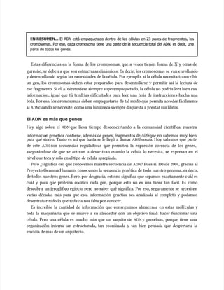 EN RESUMEN...
EN RESUMEN... El ADN está empaquetado dentro de las células en 23 pares de fragmentos, los
El ADN está empaquetado dentro de las células en 23 pares de fragmentos, los
cromosomas. Por eso, cada cromosoma tiene una parte de la secuencia total del ADN, es decir, una
cromosomas. Por eso, cada cromosoma tiene una parte de la secuencia total del ADN, es decir, una
parte de todos los genes.
parte de todos los genes.
Estas diferencias en la forma de los cromosomas, que a veces tienen forma de X y otras de
Estas diferencias en la forma de los cromosomas, que a veces tienen forma de X y otras de
gurruño, se deben a que son estructuras dinámicas. Es decir, los cromosomas se van enrollando
gurruño, se deben a que son estructuras dinámicas. Es decir, los cromosomas se van enrollando
y desenrollando según las necesidades de la célula. Por ejemplo, si la célula necesita transcribir
y desenrollando según las necesidades de la célula. Por ejemplo, si la célula necesita transcribir
un gen, los cromosomas deben estar preparados para desenrollarse y permitir así la lectura de
un gen, los cromosomas deben estar preparados para desenrollarse y permitir así la lectura de
ese fragmento. Si el
ese fragmento. Si el ADN
ADNestuviese siempre superempaquetado, la célula no podría leer bien esa
estuviese siempre superempaquetado, la célula no podría leer bien esa
información, igual que tú tendrías dificultades para leer una hoja de instrucciones hecha una
información, igual que tú tendrías dificultades para leer una hoja de instrucciones hecha una
bola. Por eso, los c
bola. Por eso, los cromosomas deben empaquetarse de tal modo que
romosomas deben empaquetarse de tal modo que permit
permita acceder fácilmente
a acceder fácilmente
al
al ADN
ADNcu
cuando se nec
ando se necesite, como una
esite, como una bibliot
biblioteca siempre dispuesta a prestar sus libros.
eca siempre dispuesta a prestar sus libros.
El ADN es más que genes
El ADN es más que genes
Hay algo sobre el
Hay algo sobre el ADN
ADN que lleva tiempo desconcertando a la comunidad científica: nuestra
que lleva tiempo desconcertando a la comunidad científica: nuestra
informació
información genética
n genética contiene, además de genes
contiene, además de genes, fragmentos de
, fragmentos de ADN
ADNque no sabemos muy bien
que no sabemos muy bien
para qué sirven. Tanto es así que hasta se le llegó a llamar
para qué sirven. Tanto es así que hasta se le llegó a llamar ADN
ADNbasura. Hoy sabemos que parte
basura. Hoy sabemos que parte
de este
de este ADN
ADN son secuencias reguladoras que permiten la expresión correcta de los genes,
son secuencias reguladoras que permiten la expresión correcta de los genes,
asegurándose de que se activan o desactivan cuando la célula lo necesita, se expresan en el
asegurándose de que se activan o desactivan cuando la célula lo necesita, se expresan en el
nivel que toca y solo en el tipo de célula apropiada.
nivel que toca y solo en el tipo de célula apropiada.
Pero ¿significa eso que conocemos nuestra secuencia de
Pero ¿significa eso que conocemos nuestra secuencia de ADN
ADN? Pues sí. Desde 2004, gracias al
? Pues sí. Desde 2004, gracias al
Proyecto Genoma Humano, conoc
Proyecto Genoma Humano, conocemos la secu
emos la secuencia genética de todo nuestro genoma, es decir,
encia genética de todo nuestro genoma, es decir,
de todos nuestros genes. P
de todos nuestros genes. Pero, por desgr
ero, por desgracia, esto no significa que sepamos exactamente c
acia, esto no significa que sepamos exactamente cuál es
uál es
cuál y para qué proteína codifica cada gen, porque esto no es una tarea tan fácil. Es como
cuál y para qué proteína codifica cada gen, porque esto no es una tarea tan fácil. Es como
descubrir un jeroglífico egipcio pero no saber qué significa. Por eso, seguramente se necesiten
descubrir un jeroglífico egipcio pero no saber qué significa. Por eso, seguramente se necesiten
varias décadas más para que esta información genética sea analizada al completo y podamos
varias décadas más para que esta información genética sea analizada al completo y podamos
desentrañar todo lo que todavía nos falta por conocer.
desentrañar todo lo que todavía nos falta por conocer.
Es increíble la cantidad de información que conseguimos almacenar en estas moléculas y
Es increíble la cantidad de información que conseguimos almacenar en estas moléculas y
toda la maquinaria que se mueve a su alrededor con un objetivo final: hacer funcionar una
toda la maquinaria que se mueve a su alrededor con un objetivo final: hacer funcionar una
célula. Pero una célula es mucho más que un saquito de
célula. Pero una célula es mucho más que un saquito de ADN
ADN y proteínas, porque tiene una
y proteínas, porque tiene una
organización interna tan estructurada, tan coordinada y tan bien pensada que despertaría la
organización interna tan estructurada, tan coordinada y tan bien pensada que despertaría la
envidia de más de u
envidia de más de un arquitecto.
n arquitecto.
 