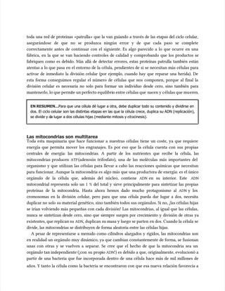 toda una red de proteínas «patrulla» que la van guiando a través de las etapas del ciclo celular,
toda una red de proteínas «patrulla» que la van guiando a través de las etapas del ciclo celular,
asegurándose de que no se produzca ningún error y de que cada paso se complete
asegurándose de que no se produzca ningún error y de que cada paso se complete
correctamente antes de continuar con el siguiente. Es algo parecido a lo que ocurre en una
correctamente antes de continuar con el siguiente. Es algo parecido a lo que ocurre en una
fábrica, en la que se van haciendo controles de calidad y comprobando que los productos se
fábrica, en la que se van haciendo controles de calidad y comprobando que los productos se
fabriquen como es debido. Más allá de detectar errores, estas proteínas patrulla también están
fabriquen como es debido. Más allá de detectar errores, estas proteínas patrulla también están
atentas a lo que pasa en el entorno de la célula, pendientes de si se necesitan más células para
atentas a lo que pasa en el entorno de la célula, pendientes de si se necesitan más células para
activar de inmediato la división celular (por ejemplo, cuando hay que reparar una herida). De
activar de inmediato la división celular (por ejemplo, cuando hay que reparar una herida). De
esta forma conseguimos regular el número de células que nos componen, porque al final la
esta forma conseguimos regular el número de células que nos componen, porque al final la
división celular es necesaria no solo para formar un individuo desde cero, sino también para
división celular es necesaria no solo para formar un individuo desde cero, sino también para
mantenerlo, lo que permi
mantenerlo, lo que permite un perfecto equilibri
te un perfecto equilibrio entre células que
o entre células que nacen y c
nacen y células que mu
élulas que mueren.
eren.
EN RESUMEN...
EN RESUMEN...Para que una célula dé lugar a otra, debe duplicar todo su contenido y dividirse en
Para que una célula dé lugar a otra, debe duplicar todo su contenido y dividirse en
dos. El ciclo celular son las distintas etapas en las que la célula crece, duplica su ADN (replicación),
dos. El ciclo celular son las distintas etapas en las que la célula crece, duplica su ADN (replicación),
se divide y d
se divide y da lugar a dos células hijas (mediante mitosis y cit
a lugar a dos células hijas (mediante mitosis y citocinesis).
ocinesis).
Las mitocondrias son multitarea
Las mitocondrias son multitarea
Toda esta maquinaria que hace funcionar a nuestras células tiene un coste, ya que requiere
Toda esta maquinaria que hace funcionar a nuestras células tiene un coste, ya que requiere
energía que permita mover los engranajes. Es por eso que la célula cuenta con sus propias
energía que permita mover los engranajes. Es por eso que la célula cuenta con sus propias
centrales de energía: las mitocondrias. A partir de los nutrientes que recibe la célula, las
centrales de energía: las mitocondrias. A partir de los nutrientes que recibe la célula, las
mitocondrias producen
mitocondrias producen ATP
ATP(adenosín trifosfato), una de las moléculas más importantes del
(adenosín trifosfato), una de las moléculas más importantes del
organismo y que utilizan las células para llevar a cabo las reacciones químicas que necesitan
organismo y que utilizan las células para llevar a cabo las reacciones químicas que necesitan
para funcionar. Aunque la mitocondria es algo más que una productora de energía: es el único
para funcionar. Aunque la mitocondria es algo más que una productora de energía: es el único
orgánulo de la célula que, además del núcleo, contiene
orgánulo de la célula que, además del núcleo, contiene ADN
ADN en su interior. Este
en su interior. Este ADN
ADN
mitocondrial representa solo un 1 % del total y sirve principalmente para sintetizar las propias
mitocondrial representa solo un 1 % del total y sirve principalmente para sintetizar las propias
proteínas de la mitocondria. Hasta ahora hemos dado mucho protagonismo al
proteínas de la mitocondria. Hasta ahora hemos dado mucho protagonismo al ADN
ADN y los
y los
cromosomas en la división celular, pero para que una célula pueda dar lugar a dos, necesita
cromosomas en la división celular, pero para que una célula pueda dar lugar a dos, necesita
duplicar no solo su material genético, sino también todos sus orgánulos. Si no, ¡las células hijas
duplicar no solo su material genético, sino también todos sus orgánulos. Si no, ¡las células hijas
se irían volviendo más pequeñas con cada división! Las mitocondrias, al igual que las células,
se irían volviendo más pequeñas con cada división! Las mitocondrias, al igual que las células,
nunca se sintetizan desde cero, sino que siempre surgen por crecimiento y división de otras ya
nunca se sintetizan desde cero, sino que siempre surgen por crecimiento y división de otras ya
existentes, que replican su
existentes, que replican su ADN
ADN, duplican su masa y luego se parten en dos. Cuando la célula se
, duplican su masa y luego se parten en dos. Cuando la célula se
divide, las mitocondrias se distribuyen de forma aleatoria entre las células hijas.
divide, las mitocondrias se distribuyen de forma aleatoria entre las células hijas.
A pesar de representarse a menudo como cilindros alargados y rígidos, las mitocondrias son
A pesar de representarse a menudo como cilindros alargados y rígidos, las mitocondrias son
en realidad un orgánulo muy dinámico, ya que cambian constantemente de forma, se fusionan
en realidad un orgánulo muy dinámico, ya que cambian constantemente de forma, se fusionan
unas con otras y se vuelven a separar. Se cree que el hecho de que la mitocondria sea un
unas con otras y se vuelven a separar. Se cree que el hecho de que la mitocondria sea un
orgánulo tan independiente (¡con
orgánulo tan independiente (¡con su
su prop
propio
io ADN
ADN!) es debido a que, originalmente, evolucionó a
!) es debido a que, originalmente, evolucionó a
partir de una bacteria que fue incorporada dentro de una célula hace más de mil millones de
partir de una bacteria que fue incorporada dentro de una célula hace más de mil millones de
años. Y tanto la célula como la bacteria se encontraron con que esa nueva relación favorecía a
años. Y tanto la célula como la bacteria se encontraron con que esa nueva relación favorecía a
 