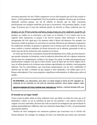 necesitan aparearlo con otro. Podría compararse con un niño pequeño que da la lata cuando se
necesitan aparearlo con otro. Podría compararse con un niño pequeño que da la lata cuando se
aburre. ¿Cómo podemos tranq
aburre. ¿Cómo podemos tranquiliza
uilizarlo? Pues bu
rlo? Pues buscándole un amiguito. Decimos que
scándole un amiguito. Decimos que las
las ROS
ROSson
son
altamente reactivas porque, con tal de robarles el electrón que les falta, reaccionan
altamente reactivas porque, con tal de robarles el electrón que les falta, reaccionan
prácticamente con cualquier molécula con la que se encuentran:
prácticamente con cualquier molécula con la que se encuentran: ADN
ADN, proteínas, lípidos... lo que
, proteínas, lípidos... lo que
caiga. El proceso por el cual una molécula pierde un electrón se llama oxidación, por eso
caiga. El proceso por el cual una molécula pierde un electrón se llama oxidación, por eso
decimos que las
decimos que las ROS
ROSson agentes oxidantes, porque hacen que otras moléculas se oxiden. El
son agentes oxidantes, porque hacen que otras moléculas se oxiden. El
problema es que el robo de un electrón resulta bastante dañino para la molécula oxidada, ya que
problema es que el robo de un electrón resulta bastante dañino para la molécula oxidada, ya que
produce un cambio en su estructura y por tanto en su función. Y si te cuento esto en un
produce un cambio en su estructura y por tanto en su función. Y si te cuento esto en un
capítulo sobre mutaciones es porque a las
capítulo sobre mutaciones es porque a las ROS
ROS les encanta robar electrones a las bases
les encanta robar electrones a las bases
nitrogenadas del
nitrogenadas del ADN
ADN, igual que a los matones robar el dinero del almuerzo. Por ejemplo, con
, igual que a los matones robar el dinero del almuerzo. Por ejemplo, con
frecuencia oxidan la guanina y la convierten en una base defectuosa que
frecuencia oxidan la guanina y la convierten en una base defectuosa que llamamos oxoguanina.
llamamos oxoguanina.
En condiciones normales, la guanina se aparearía con la citosina, pero esta oxidación la deja un
En condiciones normales, la guanina se aparearía con la citosina, pero esta oxidación la deja un
tanto confusa y termina uniéndose de forma incorrecta con la adenina, generando ni más ni
tanto confusa y termina uniéndose de forma incorrecta con la adenina, generando ni más ni
menos que una de las mutaciones más comunes en el cáncer.
menos que una de las mutaciones más comunes en el cáncer.
Es cierto que las
Es cierto que las ROS
ROSson
son un producto natural del metabolismo de la
un producto natural del metabolismo de la célula, pero hay factores
célula, pero hay factores
que pueden estimu
que pueden estimular su formación, como la radiación ultravioleta del sol o algunas sustancias
lar su formación, como la radiación ultravioleta del sol o algunas sustancias
tóxicas como los contaminantes, el tabaco o las drogas. Por suerte, la célula está preparada para
tóxicas como los contaminantes, el tabaco o las drogas. Por suerte, la célula está preparada para
prácticamente cualquier cosa que le echen encima. Lejos de dejar que las
prácticamente cualquier cosa que le echen encima. Lejos de dejar que las ROS
ROSse salgan con la
se salgan con la
suya, la célula
suya, la célula guarda en la
guarda en la recámara unas enzimas especializ
recámara unas enzimas especializadas en c
adas en combatir a estas pequeñas
ombatir a estas pequeñas
ladronas. Son los antioxidantes, que reaccionan químicamente con las
ladronas. Son los antioxidantes, que reaccionan químicamente con las ROS
ROS, cediéndoles el
, cediéndoles el
electrón que les falta y evitando así que ataquen a otras moléculas y las oxiden (¡por eso se
electrón que les falta y evitando así que ataquen a otras moléculas y las oxiden (¡por eso se
llaman antioxid
llaman antioxidantes!). Son
antes!). Son como pequeños
como pequeños superhéroes enfrentándose al villano para salvar al
superhéroes enfrentándose al villano para salvar al
pueblo.
pueblo.
EN RESUMEN...
EN RESUMEN...Las mitocondrias, para darle a la célula energía en forma de ATP, degradan las
Las mitocondrias, para darle a la célula energía en forma de ATP, degradan las
moléculas de los nutrientes en una serie de reacciones químicas. Como utilizan oxígeno, estas
moléculas de los nutrientes en una serie de reacciones químicas. Como utilizan oxígeno, estas
reacciones producen de forma inevitable unas moléculas muy dañinas y reactivas llamadas ROS, que
reacciones producen de forma inevitable unas moléculas muy dañinas y reactivas llamadas ROS, que
atacan a moléculas de la célula como el AD
atacan a moléculas de la célula como el ADN y las proteínas.
N y las proteínas.
El mundo es un lugar
El mundo es un lugar hostil
hostil
Como si para la pobre célula no fuese suficiente tener que lidiar con todas las cosas que se le
Como si para la pobre célula no fuese suficiente tener que lidiar con todas las cosas que se le
desmadran a diario, ya sea la metedura de pata de una proteína o una especie reactiva de
desmadran a diario, ya sea la metedura de pata de una proteína o una especie reactiva de
oxígeno con muy mala baba, ahí fuera hay todo un ejército de mutágenos que aprovecharán la
oxígeno con muy mala baba, ahí fuera hay todo un ejército de mutágenos que aprovecharán la
mínima oportunidad para infiltrarse entre sus estructuras hasta llegar al
mínima oportunidad para infiltrarse entre sus estructuras hasta llegar al ADN
ADN, y no precisamente
, y no precisamente
para hacerle mimitos.
para hacerle mimitos.
Muchos de estos mutágenos son sustancias químicas que reaccionan con el
Muchos de estos mutágenos son sustancias químicas que reaccionan con el ADN
ADN de mil
de mil
formas distintas. Por ejemplo, los análogos de bases son moléculas que tienen una estructura
formas distintas. Por ejemplo, los análogos de bases son moléculas que tienen una estructura
 