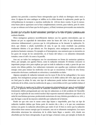 química tan parecida a nuestras bases nitrogenadas que la célula no distingue entre unas y
química tan parecida a nuestras bases nitrogenadas que la célula no distingue entre unas y
otras. Si alguno de estos análogos se infiltra en la célula durante la replicación, puede que la
otras. Si alguno de estos análogos se infiltra en la célula durante la replicación, puede que la
ADN
ADN polimerasa la incorpore a nuestras moléculas de
polimerasa la incorpore a nuestras moléculas de ADN
ADNsin darse cuenta. Si por lo menos
sin darse cuenta. Si por lo menos
estas bases
estas bases fake
fakese apareasen con la base complementaria correcta, pues todavía, pero lo cierto
se apareasen con la base complementaria correcta, pues todavía, pero lo cierto
es que se enlazan con la base que les da la gana y, al final, terminan provocando una mutación.
es que se enlazan con la base que les da la gana y, al final, terminan provocando una mutación.
Es como si en una obra de teatro necesitases reemplazar a la actriz principal y cogieses a una
Es como si en una obra de teatro necesitases reemplazar a la actriz principal y cogieses a una
persona que se parece mucho físicamente, pero que no se sabe el guion: probablemente
persona que se parece mucho físicamente, pero que no se sabe el guion: probablemente
acabaría liándola.
acabaría liándola.
Otros mutágenos químicos increíblemente dañinos son los agentes intercalantes, que se
Otros mutágenos químicos increíblemente dañinos son los agentes intercalantes, que se
llaman así por su capacidad de intercalarse entre las bases del
llaman así por su capacidad de intercalarse entre las bases del ADN
ADN, lo que distorsiona su
, lo que distorsiona su
estructura tridimensional y provoca que la
estructura tridimensional y provoca que la ADN
ADN polimerasa se líe durante la replicación. Es
polimerasa se líe durante la replicación. Es
decir, que elimine o añada nucleótidos de más, lo que da como resultado una proteína
decir, que elimine o añada nucleótidos de más, lo que da como resultado una proteína
totalmente distinta a la que debería ser. Por desgracia, estos mutágenos están presentes en
totalmente distinta a la que debería ser. Por desgracia, estos mutágenos están presentes en
productos bastante comunes. Un ejemplo es el benzopireno, una sustancia que se encuentra en
productos bastante comunes. Un ejemplo es el benzopireno, una sustancia que se encuentra en
los gases de escape de los automóviles, en el humo del tabaco o en alimentos demasiado
los gases de escape de los automóviles, en el humo del tabaco o en alimentos demasiado
tostados, como el café o la carne a la parrilla.
tostados, como el café o la carne a la parrilla.
Aun así, no todos los mutágenos nos los encontramos en forma de sustancias químicas.
Aun así, no todos los mutágenos nos los encontramos en forma de sustancias químicas.
Otros, por ejemplo, son agentes físicos, como la radiación ionizante. El término
Otros, por ejemplo, son agentes físicos, como la radiación ionizante. El término ionizante
ionizante es
es
importante porque sirve para explicar por qué no toda la radiación es mala, a pesar de que nos
importante porque sirve para explicar por qué no toda la radiación es mala, a pesar de que nos
asuste esta última palabra. Las radiaciones ionizantes son aquellas que contienen suficiente
asuste esta última palabra. Las radiaciones ionizantes son aquellas que contienen suficiente
energía como para ionizar
energía como para ionizar las moléculas con las que se encuentran. O dicho de otra forma:
las moléculas con las que se encuentran. O dicho de otra forma:
arra
arrancarles electrones, cambiando su
ncarles electrones, cambiando su estructura y causándoles u
estructura y causándoles un daño.
n daño.
Algunos ejemplos de radiación ionizante son los rayos X (los de las radiografías) y los rayos
Algunos ejemplos de radiación ionizante son los rayos X (los de las radiografías) y los rayos
gamma. Son mutagénicos porque causan roturas en la doble cadena del
gamma. Son mutagénicos porque causan roturas en la doble cadena del ADN
ADN, algo que puede
, algo que puede
ser letal para la célula. Es más, este tipo de radiaciones puede incluso interactuar con otras
ser letal para la célula. Es más, este tipo de radiaciones puede incluso interactuar con otras
moléculas de la célula, como las molécu
moléculas de la célula, como las moléculas de agua, y convertir
las de agua, y convertirlas en
las en ROS
ROS, que también dañan el
, que también dañan el
ADN
ADN. Teniendo en cuenta que la célula está compuesta principalmente por agua, la probabilidad
. Teniendo en cuenta que la célula está compuesta principalmente por agua, la probabilidad
de que se generen
de que se generen ROS
ROS en presencia de radiación ionizante es bastante elevada. Un ejemplo
en presencia de radiación ionizante es bastante elevada. Un ejemplo
tristemente célebre protagonizado por este tipo de radiaciones es el del accidente de Chernóbil,
tristemente célebre protagonizado por este tipo de radiaciones es el del accidente de Chernóbil,
en el que la explosión de una central nuclear dejó expuesto material radioactivo que afectó a la
en el que la explosión de una central nuclear dejó expuesto material radioactivo que afectó a la
salud de muc
salud de muchísimas persona
hísimas personas, produciendo mutaciones de muy distinta graveda
s, produciendo mutaciones de muy distinta gravedad en su
d en su ADN
ADN, y
, y
que dio lugar a una de las mayores catástrofes por radiación de la historia.
que dio lugar a una de las mayores catástrofes por radiación de la historia.
Puede ser que este caso te suene como algo lejano e improbable, pero hay un tipo de
Puede ser que este caso te suene como algo lejano e improbable, pero hay un tipo de
radiación también dañina que forma parte de nuestro día a día y a la que nos sometemos
radiación también dañina que forma parte de nuestro día a día y a la que nos sometemos
incluso con gusto: la radiación ultravioleta que emite el sol. Si bien es cierto que la radiación
incluso con gusto: la radiación ultravioleta que emite el sol. Si bien es cierto que la radiación
ultravioleta tiene menos energía que la ionizante, aun así es altamente mutagénica. Los rayos
ultravioleta tiene menos energía que la ionizante, aun así es altamente mutagénica. Los rayos
ultravioleta atraviesan las estructuras de la célula hasta llegar a nuestro
ultravioleta atraviesan las estructuras de la célula hasta llegar a nuestro ADN
ADN, donde son
, donde son
absorbidos por las bases nitrogenadas, lo que da lugar a lesiones como, por ejemplo, la fusión de
absorbidos por las bases nitrogenadas, lo que da lugar a lesiones como, por ejemplo, la fusión de
 