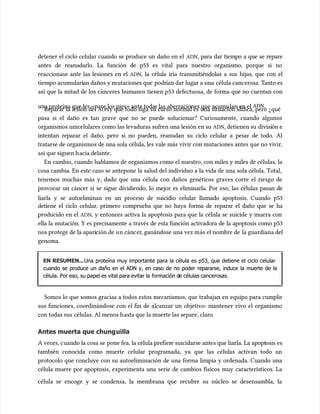 detener el ciclo celular cuando se produce un daño en el
detener el ciclo celular cuando se produce un daño en el ADN
ADN, para dar tiempo a que se repare
, para dar tiempo a que se repare
antes de reanudarlo. La función de p53 es vital para nuestro organismo, porque si no
antes de reanudarlo. La función de p53 es vital para nuestro organismo, porque si no
reaccionase ante las lesiones en el
reaccionase ante las lesiones en el ADN
ADN, la célula iría transmitiéndolas a sus hijas, que con el
, la célula iría transmitiéndolas a sus hijas, que con el
tiempo acumu
tiempo acumularí
larían daños y m
an daños y mutaciones que
utaciones que podr
podrían dar lugar a una
ían dar lugar a una célula canc
célula cancerosa. T
erosa. Tanto es
anto es
así que la mitad de los cánceres humanos tienen p53 defectuosa, de forma que no cuentan con
así que la mitad de los cánceres humanos tienen p53 defectuosa, de forma que no cuentan con
una proteína que les «pare los pies» ante toda
una proteína que les «pare los pies» ante todas las aberraciones que acumu
s las aberraciones que acumulan en el
lan en el ADN
ADN.
.
Reparar la lesión del
Reparar la lesión del ADN
ADNy que todo siga su curso normal es una situación idílica, pero ¿qué
y que todo siga su curso normal es una situación idílica, pero ¿qué
pasa si el daño es tan grave que no se puede solucionar? Curiosamente, cuando algunos
pasa si el daño es tan grave que no se puede solucionar? Curiosamente, cuando algunos
organismos unicelulares como las levaduras sufren una lesión en su
organismos unicelulares como las levaduras sufren una lesión en su ADN
ADN, detienen su
, detienen su divisi
división e
ón e
intentan reparar el daño, pero si no pueden, reanudan su ciclo celular a pesar de todo. Al
intentan reparar el daño, pero si no pueden, reanudan su ciclo celular a pesar de todo. Al
tratarse de organismos de una sola célula, les vale más vivir con mutaciones antes que no vivir,
tratarse de organismos de una sola célula, les vale más vivir con mutaciones antes que no vivir,
así que siguen h
así que siguen hacia delante.
acia delante.
En cambio, cuando hablamos de organismos como el nuestro, con miles y miles de células, la
En cambio, cuando hablamos de organismos como el nuestro, con miles y miles de células, la
cosa cambia. En este caso se antepone la salud del individuo a la vida de una sola célula. Total,
cosa cambia. En este caso se antepone la salud del individuo a la vida de una sola célula. Total,
tenemos muchas más y, dado que una célula con daños genéticos graves corre el riesgo de
tenemos muchas más y, dado que una célula con daños genéticos graves corre el riesgo de
provocar un cáncer si se sigue dividiendo, lo mejor es eliminarla. Por eso, las células pasan de
provocar un cáncer si se sigue dividiendo, lo mejor es eliminarla. Por eso, las células pasan de
liarla y se autoeliminan en un proceso de suicidio celular llamado apoptosis. Cuando p53
liarla y se autoeliminan en un proceso de suicidio celular llamado apoptosis. Cuando p53
detiene el ciclo celular, primero comprueba que no haya forma de reparar el daño que se ha
detiene el ciclo celular, primero comprueba que no haya forma de reparar el daño que se ha
producido en el
producido en el ADN
ADN, y entonces activa la apoptosis para que la célula se suicide y muera con
, y entonces activa la apoptosis para que la célula se suicide y muera con
ella la mutación. Y es precisamente a través de esta función activadora de la apoptosis como p53
ella la mutación. Y es precisamente a través de esta función activadora de la apoptosis como p53
nos protege de la apari
nos protege de la aparición de u
ción de un cánc
n cáncer
er, ganándose una vez m
, ganándose una vez más el nombre de
ás el nombre de la guardiana del
la guardiana del
genoma.
genoma.
EN RESUMEN...
EN RESUMEN...Una proteína muy importante para la célula es p53, que detiene el ciclo celular
Una proteína muy importante para la célula es p53, que detiene el ciclo celular
cuando se produce un daño en el ADN y, en caso de no poder repararse, induce la muerte de la
cuando se produce un daño en el ADN y, en caso de no poder repararse, induce la muerte de la
célula. Por eso, su papel es vital para evitar la
célula. Por eso, su papel es vital para evitar la formación d
formación de células cancerosas.
e células cancerosas.
Somos lo que somos gracias a todos estos mecanismos, que trabajan en equipo para cumplir
Somos lo que somos gracias a todos estos mecanismos, que trabajan en equipo para cumplir
sus funciones, coordinándose con el fin de alcanzar un objetivo: mantener vivo el organismo
sus funciones, coordinándose con el fin de alcanzar un objetivo: mantener vivo el organismo
con todas sus
con todas sus células. Al menos h
células. Al menos hasta que la muerte las separe, claro
asta que la muerte las separe, claro.
.
Antes muerta que chung
Antes muerta que chunguilla
uilla
A veces, c
A veces, cuando la cosa se
uando la cosa se pone fea, la célula prefier
pone fea, la célula prefiere suicidarse antes que liarla. La apopt
e suicidarse antes que liarla. La apoptosis es
osis es
también conocida como muerte celular programada, ya que las células activan todo un
también conocida como muerte celular programada, ya que las células activan todo un
protocolo que concluye con su autoeliminación de una forma limpia y ordenada. Cuando una
protocolo que concluye con su autoeliminación de una forma limpia y ordenada. Cuando una
célula muere por apoptosis, experimenta una serie de cambios físicos muy característicos. La
célula muere por apoptosis, experimenta una serie de cambios físicos muy característicos. La
célula se encoge y se condensa, la membrana que recubre su núcleo se desensambla, la
célula se encoge y se condensa, la membrana que recubre su núcleo se desensambla, la
 