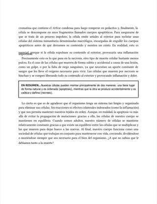 cromatina que contiene el
cromatina que contiene el ADN
ADNse condensa para luego romperse en pedacitos y, finalmente, la
se condensa para luego romperse en pedacitos y, finalmente, la
célula se descompone en unos fragmentos llamados cuerpos apoptóticos. Para asegurarse de
célula se descompone en unos fragmentos llamados cuerpos apoptóticos. Para asegurarse de
que se trata de un proceso impoluto, la célula emite señales al exterior para reclutar unas
que se trata de un proceso impoluto, la célula emite señales al exterior para reclutar unas
células del sistema inmunitario denominadas macrófagos, encargadas de engullir los cuerpos
células del sistema inmunitario denominadas macrófagos, encargadas de engullir los cuerpos
apoptóticos antes de que derramen su contenido y monten un cristo. En realidad, esto es
apoptóticos antes de que derramen su contenido y monten un cristo. En realidad, esto es
esencial, porque si la célula expulsase su contenido al exterior, provocaría una inflamación
esencial, porque si la célula expulsase su contenido al exterior, provocaría una inflamación
importante.
importante.
Precisamente esto es lo que pasa en la necrosis, otro tipo de muerte celular bastante menos
Precisamente esto es lo que pasa en la necrosis, otro tipo de muerte celular bastante menos
pulcra. Es el caso de las células que mueren de forma súbita y accidental a causa de una lesión,
pulcra. Es el caso de las células que mueren de forma súbita y accidental a causa de una lesión,
como un golpe, o por la falta de riego sanguíneo, ya que necesitan un aporte constante de
como un golpe, o por la falta de riego sanguíneo, ya que necesitan un aporte constante de
sangre que les lleve el oxígeno necesario para vivir. Las células que mueren por necrosis se
sangre que les lleve el oxígeno necesario para vivir. Las células que mueren por necrosis se
hinchan y se rompen liberando todo su contenido al exterior y provocando inflamación y dolor.
hinchan y se rompen liberando todo su contenido al exterior y provocando inflamación y dolor.
EN RESUMEN...
EN RESUMEN...Nuestras células pueden morirse principalmente de dos maneras: una tiene lugar
Nuestras células pueden morirse principalmente de dos maneras: una tiene lugar
de forma natural y es ordenada (apoptosis), mientras que la otra se produce accidentalmente y es
de forma natural y es ordenada (apoptosis), mientras que la otra se produce accidentalmente y es
caótica y dañina (necro
caótica y dañina (necrosis)
sis).
.
Lo cierto es que es de agradecer que el organismo tenga un sistema tan limpio y organizado
Lo cierto es que es de agradecer que el organismo tenga un sistema tan limpio y organizado
para eli
para eliminar sus c
minar sus células. Sin reacciones n
élulas. Sin reacciones ni efectos colaterales indeseados (como la inf
i efectos colaterales indeseados (como la inflamación)
lamación)
y que nos permita mantener nuestros tejidos en orden. Aunque, en realidad, la apoptosis va más
y que nos permita mantener nuestros tejidos en orden. Aunque, en realidad, la apoptosis va más
allá de evitar la propagación de mutaciones: gracias a ella, las células de nuestro cuerpo se
allá de evitar la propagación de mutaciones: gracias a ella, las células de nuestro cuerpo se
mantienen en equilibrio. Cuando somos adultos, nuestro número de células se mantiene
mantienen en equilibrio. Cuando somos adultos, nuestro número de células se mantiene
relativamente constante gracias a que existe un equilibrio entre las células que se multiplican y
relativamente constante gracias a que existe un equilibrio entre las células que se multiplican y
las que mueren para dejar hueco a las nuevas. Al final, nuestro cuerpo funciona como una
las que mueren para dejar hueco a las nuevas. Al final, nuestro cuerpo funciona como una
sociedad de células
sociedad de células que trabajan en conjunto para mantenerse con
que trabajan en conjunto para mantenerse con vida, creciendo, divid
vida, creciendo, dividiéndose
iéndose
o muriéndose siempre que sea necesario para el bien del organismo. ¿A que no sabías que le
o muriéndose siempre que sea necesario para el bien del organismo. ¿A que no sabías que le
debíamos tanto a la muerte?
debíamos tanto a la muerte?
 