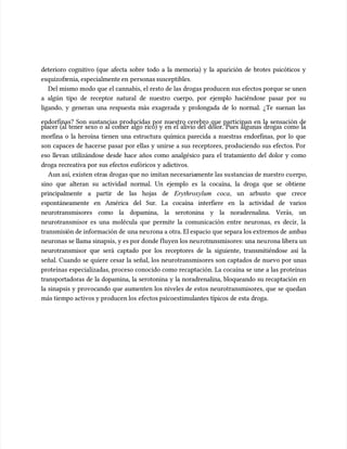 deterioro cognitivo (que afecta sobre todo a la memoria) y la aparición de brotes psicóticos y
deterioro cognitivo (que afecta sobre todo a la memoria) y la aparición de brotes psicóticos y
esquizofr
esquizofrenia, especialmente en
enia, especialmente en personas susceptibles.
personas susceptibles.
Del mismo modo que el cannabis, el resto de las drogas producen sus efectos porque se unen
Del mismo modo que el cannabis, el resto de las drogas producen sus efectos porque se unen
a algún tipo de receptor natural de nuestro cuerpo, por ejemplo haciéndose pasar por su
a algún tipo de receptor natural de nuestro cuerpo, por ejemplo haciéndose pasar por su
ligando, y generan una respuesta más exagerada y prolongada de lo normal. ¿Te suenan las
ligando, y generan una respuesta más exagerada y prolongada de lo normal. ¿Te suenan las
endorfinas? Son sustancias producidas por nuestro cerebro que participan en la sensación de
endorfinas? Son sustancias producidas por nuestro cerebro que participan en la sensación de
placer (al tener sexo o al comer algo rico) y en el alivio del dolor. Pues algunas drogas como la
placer (al tener sexo o al comer algo rico) y en el alivio del dolor. Pues algunas drogas como la
morfina o la heroína tienen una estructura química parecida a nuestras endorfinas, por lo que
morfina o la heroína tienen una estructura química parecida a nuestras endorfinas, por lo que
son capaces de hacerse pasar por ellas y unirse a sus receptores, produciendo sus efectos. Por
son capaces de hacerse pasar por ellas y unirse a sus receptores, produciendo sus efectos. Por
eso llevan utilizándose desde hace años como analgésico para el tratamiento del dolor y como
eso llevan utilizándose desde hace años como analgésico para el tratamiento del dolor y como
droga recreativa por sus efectos eufóricos y adictivos.
droga recreativa por sus efectos eufóricos y adictivos.
Aun así, existen otra
Aun así, existen otras drogas que no
s drogas que no imitan necesaria
imitan necesariamente las su
mente las sustancias de nuestro cu
stancias de nuestro cuerpo,
erpo,
sino que alteran su actividad normal. Un ejemplo es la cocaína, la droga que se obtiene
sino que alteran su actividad normal. Un ejemplo es la cocaína, la droga que se obtiene
principalmente a partir de las hojas de
principalmente a partir de las hojas de Erythroxylum
Erythroxylum coca
coca, un arbusto que crece
, un arbusto que crece
espontáneamente en América del Sur. La cocaína interfiere en la actividad de varios
espontáneamente en América del Sur. La cocaína interfiere en la actividad de varios
neurotransmisores como la dopamina, la serotonina y la noradrenalina. Verás, un
neurotransmisores como la dopamina, la serotonina y la noradrenalina. Verás, un
neurotransmisor es una molécula que permite la comunicación entre neuronas, es decir, la
neurotransmisor es una molécula que permite la comunicación entre neuronas, es decir, la
transmisi
transmisión de información de
ón de información de una neu
una neurona a otra. El espacio que separa los extremos de
rona a otra. El espacio que separa los extremos de ambas
ambas
neuronas se llama sinapsis, y es por donde f
neuronas se llama sinapsis, y es por donde fluyen los neu
luyen los neurotr
rotransmisores: una neu
ansmisores: una neurona libera un
rona libera un
neurotransmisor que será captado por los receptores de la siguiente, transmitiéndose así la
neurotransmisor que será captado por los receptores de la siguiente, transmitiéndose así la
señal. Cuando se quiere cesar la señal, los neurotransmisores son captados de nuevo por unas
señal. Cuando se quiere cesar la señal, los neurotransmisores son captados de nuevo por unas
proteínas especializadas, proceso conocido como recaptación. La cocaína se une a las proteínas
proteínas especializadas, proceso conocido como recaptación. La cocaína se une a las proteínas
transportadoras de la dopamina, la serotonina y la noradrenalina, bloqueando su recaptación en
transportadoras de la dopamina, la serotonina y la noradrenalina, bloqueando su recaptación en
la sinapsis y provocando que aumenten los niveles de estos neurotransmisores, que se quedan
la sinapsis y provocando que aumenten los niveles de estos neurotransmisores, que se quedan
más tiempo activos y producen los
más tiempo activos y producen los efectos psicoestimu
efectos psicoestimulantes típicos de esta droga.
lantes típicos de esta droga.
 