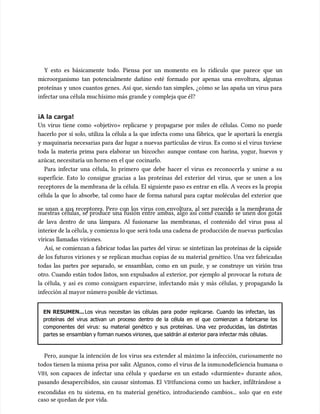 Y esto es básicamente todo. Piensa por un momento en lo ridícu
Y esto es básicamente todo. Piensa por un momento en lo ridículo que parece que un
lo que parece que un
microorganismo tan potencialmente dañino esté formado por apenas una envoltura, algunas
microorganismo tan potencialmente dañino esté formado por apenas una envoltura, algunas
proteínas y unos cuantos genes. Así que, siendo tan simples, ¿cómo se las apaña un virus para
proteínas y unos cuantos genes. Así que, siendo tan simples, ¿cómo se las apaña un virus para
infectar una célula muc
infectar una célula muchísimo más grande y compleja que él?
hísimo más grande y compleja que él?
¡A la carga!
¡A la carga!
Un virus tiene como «objetivo» replicarse y propagarse por miles de células. Como no puede
Un virus tiene como «objetivo» replicarse y propagarse por miles de células. Como no puede
hacerlo por sí solo, utiliza la célula a la que infecta como una fábrica, que le aportará la energía
hacerlo por sí solo, utiliza la célula a la que infecta como una fábrica, que le aportará la energía
y maquinaria necesarias para dar lugar a nuevas partículas de virus. Es como si el virus tuviese
y maquinaria necesarias para dar lugar a nuevas partículas de virus. Es como si el virus tuviese
toda la materia prima para elaborar un bizcocho: aunque contase con harina, yogur, huevos y
toda la materia prima para elaborar un bizcocho: aunque contase con harina, yogur, huevos y
azúcar
azúcar, necesitaría un horno en
, necesitaría un horno en el que
el que cocinarlo.
cocinarlo.
Para infectar una célula, lo primero que debe hacer el virus es reconocerla y unirse a su
Para infectar una célula, lo primero que debe hacer el virus es reconocerla y unirse a su
superficie. Esto lo consigue gracias a las proteínas del exterior del virus, que se unen a los
superficie. Esto lo consigue gracias a las proteínas del exterior del virus, que se unen a los
receptores de la membrana de la célula. El siguiente paso es entrar en ella. A veces es la propia
receptores de la membrana de la célula. El siguiente paso es entrar en ella. A veces es la propia
célula la que lo absorbe, tal como hace de forma natural para captar moléculas del exterior que
célula la que lo absorbe, tal como hace de forma natural para captar moléculas del exterior que
se unan a sus receptores. Pero con los virus con envoltura, al ser parecida a la membrana de
se unan a sus receptores. Pero con los virus con envoltura, al ser parecida a la membrana de
nuestras células, se produce una fusión entre ambas, algo así como cuando se unen dos gotas
nuestras células, se produce una fusión entre ambas, algo así como cuando se unen dos gotas
de lava dentro de una lámpara. Al fusionarse las membranas, el contenido del virus pasa al
de lava dentro de una lámpara. Al fusionarse las membranas, el contenido del virus pasa al
interi
interior de la célu
or de la célula, y comienza lo que
la, y comienza lo que será toda una cadena de
será toda una cadena de producción de nuevas
producción de nuevas part
partículas
ículas
víricas llamadas viriones.
víricas llamadas viriones.
Así, se comienzan a fabricar todas las partes del virus: se sintetizan las proteínas de la cápside
Así, se comienzan a fabricar todas las partes del virus: se sintetizan las proteínas de la cápside
de los futuros viriones y se replican muchas copias de su material genético. Una vez fabricadas
de los futuros viriones y se replican muchas copias de su material genético. Una vez fabricadas
todas las partes por separado, se ensamblan, como en un puzle, y se construye un virión tras
todas las partes por separado, se ensamblan, como en un puzle, y se construye un virión tras
otro. Cuando están todos listos, son expulsados al exterior, por ejemplo al provocar la rotura de
otro. Cuando están todos listos, son expulsados al exterior, por ejemplo al provocar la rotura de
la célula, y así es como consiguen esparcirse, infectando más y más células, y propagando la
la célula, y así es como consiguen esparcirse, infectando más y más células, y propagando la
infección al mayor número posible de víctimas.
infección al mayor número posible de víctimas.
EN RESUMEN...
EN RESUMEN...Los virus necesitan las células para poder replicarse. Cuando las infectan, las
Los virus necesitan las células para poder replicarse. Cuando las infectan, las
proteínas del virus activan un proceso dentro de la célula en el que comienzan a fabricarse los
proteínas del virus activan un proceso dentro de la célula en el que comienzan a fabricarse los
componentes del virus: su material genético y sus proteínas. Una vez producidas, las distintas
componentes del virus: su material genético y sus proteínas. Una vez producidas, las distintas
partes se
partes se ensamblan y for
ensamblan y forman nuev
man nuevos viriones, que saldrán al exterior para infectar más
os viriones, que saldrán al exterior para infectar más células.
células.
Pero, aunque la intención de los virus sea extender al máximo la infección, curiosamente no
Pero, aunque la intención de los virus sea extender al máximo la infección, curiosamente no
todos tienen la misma prisa por sa
todos tienen la misma prisa por salir
lir. Algunos, como
. Algunos, como el virus de la inmu
el virus de la inmunodeficiencia humana o
nodeficiencia humana o
VIH
VIH, son capaces de infectar una célula y quedarse en un estado «durmiente» durante años,
, son capaces de infectar una célula y quedarse en un estado «durmiente» durante años,
pasando desapercibidos, sin causar síntomas. El
pasando desapercibidos, sin causar síntomas. El VIH
VIHfunciona como un hacker, infiltrándose a
funciona como un hacker, infiltrándose a
escondidas en tu sistema, en tu material genético, introduciendo cambios... solo que en este
escondidas en tu sistema, en tu material genético, introduciendo cambios... solo que en este
caso se qu
caso se quedan de por vida.
edan de por vida.
 