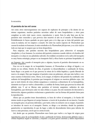 lo encuentra.
lo encuentra.
El parásito de las mil caras
El parásito de las mil caras
Así como otros microorganismos son capaces de replicarse de principio a fin dentro de un
Así como otros microorganismos son capaces de replicarse de principio a fin dentro de un
mismo organismo, muchos parásitos necesitan saltar de unos hospedadores a otros para
mismo organismo, muchos parásitos necesitan saltar de unos hospedadores a otros para
completar su ciclo vital: nacer, crecer, reproducirse y morir. Esto lo sabe bien uno de los
completar su ciclo vital: nacer, crecer, reproducirse y morir. Esto lo sabe bien uno de los
parásitos más conocidos y que provoca más muertes al año en el mundo: el Plasmodium.
parásitos más conocidos y que provoca más muertes al año en el mundo: el Plasmodium.
Probablemente te hayas quedado un poco igual, pero si te digo que se trata del parásito que
Probablemente te hayas quedado un poco igual, pero si te digo que se trata del parásito que
causa la malaria, tal vez empiece a sonarte. De entre las cuatro especies de
causa la malaria, tal vez empiece a sonarte. De entre las cuatro especies de Plasmodium
Plasmodium que
que
causan la m
causan la malar
alaria en hum
ia en humanos, la más estudiada es la
anos, la más estudiada es la Plasmodium falcipa
Plasmodium falciparum
rum, y su c
, y su ciclo vital es
iclo vital es
todo un viaje que
todo un viaje que te aseguro que
te aseguro que no tiene desperdicio.
no tiene desperdicio.
Para empezar, este parásito necesita dos hospedadores para sobrevivir: el mosquito
Para empezar, este parásito necesita dos hospedadores para sobrevivir: el mosquito
Anopheles y el ser humano. La aventura del parásito comienza cuando infecta a la hembra del
Anopheles y el ser humano. La aventura del parásito comienza cuando infecta a la hembra del
mosquito y se aloja en
mosquito y se aloja en sus g
sus glándulas salivales. En reali
lándulas salivales. En realidad, esconderse en la
dad, esconderse en la saliva del mosquito
saliva del mosquito
es muy buena estrategia, porque es un transporte fácil y eficaz hasta su próximo hospedador, el
es muy buena estrategia, porque es un transporte fácil y eficaz hasta su próximo hospedador, el
ser humano. Así, cuando el mosquito pica a alguien, inyecta el parásito directamente en su
ser humano. Así, cuando el mosquito pica a alguien, inyecta el parásito directamente en su
torrente sanguíneo.
torrente sanguíneo.
Una vez en la sangre de su hospedador humano, el
Una vez en la sangre de su hospedador humano, el Plasmodium
Plasmodium se dirige al hígado y se
se dirige al hígado y se
instala en sus células. Dentro de ellas, el parásito va desarrollándose y cambiando de forma,
instala en sus células. Dentro de ellas, el parásito va desarrollándose y cambiando de forma,
hasta llegar a un punto en el que provoca la rotura de la célula hepática y queda liberado de
hasta llegar a un punto en el que provoca la rotura de la célula hepática y queda liberado de
nuevo a la sangre. Hay que imaginar el parásito como un pokemon, solo que más turbio y con
nuevo a la sangre. Hay que imaginar el parásito como un pokemon, solo que más turbio y con
unas cuantas evoluciones extra. Ahora, en la sangre, el objetivo del parásito ha cambiado: está
unas cuantas evoluciones extra. Ahora, en la sangre, el objetivo del parásito ha cambiado: está
sediento de hemoglobina, la proteína que transporta el oxígeno en nuestros glóbulos rojos. Así
sediento de hemoglobina, la proteína que transporta el oxígeno en nuestros glóbulos rojos. Así
que se mete dentro de estas células sanguíneas y comienza a alimentarse de su hemoglobina,
que se mete dentro de estas células sanguíneas y comienza a alimentarse de su hemoglobina,
momento en el que se vuelve a desarrollar y a cambiar de forma, hasta que provoca la rotura del
momento en el que se vuelve a desarrollar y a cambiar de forma, hasta que provoca la rotura del
glóbulo rojo. Y así se liberan más parásitos al torrente sanguíneo, sedientos de más
glóbulo rojo. Y así se liberan más parásitos al torrente sanguíneo, sedientos de más
hemoglobina, que destruyen cada vez más células a su paso. En este momento de descontrol y
hemoglobina, que destruyen cada vez más células a su paso. En este momento de descontrol y
destrucción, algunos parásitos evolucionan a gametocitos: son las formas del parásito listas para
destrucción, algunos parásitos evolucionan a gametocitos: son las formas del parásito listas para
la reproducción.
la reproducción.
Ahora que ya pueden tener descendencia, es hora de volver al mosquito, y lo harán del
Ahora que ya pueden tener descendencia, es hora de volver al mosquito, y lo harán del
mismo modo en que llegaron al cuerpo humano: a través de la picadura de un insecto. Cuando
mismo modo en que llegaron al cuerpo humano: a través de la picadura de un insecto. Cuando
un mosquito pica a la persona infectada y, por tanto, entra en contacto con su sangre, el parásito
un mosquito pica a la persona infectada y, por tanto, entra en contacto con su sangre, el parásito
se introduce de nuevo en el mosquito. Dentro, se dirige a su intestino, donde los parásitos
se introduce de nuevo en el mosquito. Dentro, se dirige a su intestino, donde los parásitos
gametocitos se reproducirán, lo que da lugar a miles de descendientes listos para infectar de
gametocitos se reproducirán, lo que da lugar a miles de descendientes listos para infectar de
nuevo a más personas, con lo que se c
nuevo a más personas, con lo que se cierr
ierra el ciclo.
a el ciclo.
Así, desde que un parásito
Así, desde que un parásito Plasmodium
Plasmodium nace hasta que vuelve a su lugar de origen para
nace hasta que vuelve a su lugar de origen para
reproducirse, pasa de un hospedador al otro, cambiando de forma, destruyendo glóbulos rojos y
reproducirse, pasa de un hospedador al otro, cambiando de forma, destruyendo glóbulos rojos y
células hepáticas según le conviene, y dejando a su paso graves anemias y daños importantes
células hepáticas según le conviene, y dejando a su paso graves anemias y daños importantes
 