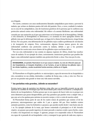 en el hígado.
en el hígado.
Por suerte, contamos con unos medicamentos llamados antipalúdicos para tratar y prevenir la
Por suerte, contamos con unos medicamentos llamados antipalúdicos para tratar y prevenir la
malaria, que actúan en distintos puntos del ciclo del parásito. Pero, a veces, combatir la malaria
malaria, que actúan en distintos puntos del ciclo del parásito. Pero, a veces, combatir la malaria
no es cosa de los antipalúdicos, sino de trastornos genéticos de la persona que le confieren una
no es cosa de los antipalúdicos, sino de trastornos genéticos de la persona que le confieren una
protección natural contra esta enfermedad. Me refiero a la anemia falciforme, una enfermedad
protección natural contra esta enfermedad. Me refiero a la anemia falciforme, una enfermedad
causada por una mutación en el gen que interviene en la formación de la hemoglobina. Debido
causada por una mutación en el gen que interviene en la formación de la hemoglobina. Debido
a esta mutación, la hemoglobina es defectuosa y se acumu
a esta mutación, la hemoglobina es defectuosa y se acumula en unos agregados dentro del
la en unos agregados dentro del
glóbulo rojo que lo deforman, haciendo que, en lugar de la
glóbulo rojo que lo deforman, haciendo que, en lugar de la clásica forma bicóncava, tenga forma
clásica forma bicóncava, tenga forma
de hoz. Por u
de hoz. Por una parte, esta deformació
na parte, esta deformación de
n de los glóbulos rojos c
los glóbulos rojos conlleva problema
onlleva problemas de
s de circulación
circulación
y de transporte de oxígeno. Pero, curiosamente, algunas formas menos graves de esta
y de transporte de oxígeno. Pero, curiosamente, algunas formas menos graves de esta
enfermedad confieren una protección contra la malaria, debido a que a los parásitos
enfermedad confieren una protección contra la malaria, debido a que a los parásitos
Plasmodium
Plasmodium les cuesta m
les cuesta más crecer dentro de los glóbulos rojos con forma de hoz.
ás crecer dentro de los glóbulos rojos con forma de hoz.
Por eso esta enfermedad es tan común en algunas regiones de África, donde hay muchos
Por eso esta enfermedad es tan común en algunas regiones de África, donde hay muchos
casos de malaria. Es un ejemplo de cómo, curiosamente, mutaciones genéticas que pueden dar
casos de malaria. Es un ejemplo de cómo, curiosamente, mutaciones genéticas que pueden dar
lugar a una enfermedad suponen también una protección frente a otras. Una cosa por la otra.
lugar a una enfermedad suponen también una protección frente a otras. Una cosa por la otra.
EN RESUMEN...
EN RESUMEN...El parásito Plasmodium es el que causa la malaria. Su ciclo de infección pasa por
El parásito Plasmodium es el que causa la malaria. Su ciclo de infección pasa por
dos hospedadores, el mosquito Anopheles y el ser humano, al que le destruye los glóbulos rojos y
dos hospedadores, el mosquito Anopheles y el ser humano, al que le destruye los glóbulos rojos y
las c
las células hepáticas, y acaba causándole fuertes anemias y daños en el
élulas hepáticas, y acaba causándole fuertes anemias y daños en el hígad
hígado.
o.
El
El Plasmodium
Plasmodium es el fu
es el fugitivo per
gitivo perfecto: es
fecto: es microscópico, capaz de moverse de un
microscópico, capaz de moverse de un hospedador a
hospedador a
otro, esconderse en sus células, destruirlas y cambiar de forma una, y otra, y otra vez. Pero no
otro, esconderse en sus células, destruirlas y cambiar de forma una, y otra, y otra vez. Pero no
por ser un parásito más grande se tiene una vida menos movidita.
por ser un parásito más grande se tiene una vida menos movidita.
los parásitos más grandes, ¿dónde se esconden?
los parásitos más grandes, ¿dónde se esconden?
Existen tantos tipos de parásitos tan distintos entre ellos que es imposible resumir en un solo
Existen tantos tipos de parásitos tan distintos entre ellos que es imposible resumir en un solo
apartado la cantidad de estrategias que han desarrollado para colarse, esconderse y multiplicarse
apartado la cantidad de estrategias que han desarrollado para colarse, esconderse y multiplicarse
dentro de sus hospedadores. Podrías pensar que si son capaces de hacer todo eso es porque son
dentro de sus hospedadores. Podrías pensar que si son capaces de hacer todo eso es porque son
seres diminutos que pasan desapercibidos, pero hay parásitos que pueden verse a simple vista, y
seres diminutos que pasan desapercibidos, pero hay parásitos que pueden verse a simple vista, y
que aun
que aun así se las apañan para meter
así se las apañan para meterse en nu
se en nuestro cuerpo y vivir a costa de nuestra salud.
estro cuerpo y vivir a costa de nuestra salud.
El
El Plasmodium
Plasmodium forma parte de uno de los cuatro reinos de parásitos que existen: el de los
forma parte de uno de los cuatro reinos de parásitos que existen: el de los
protozoos, microorganismos que miden de 2 µm a apenas 100 µm. Pero también existen
protozoos, microorganismos que miden de 2 µm a apenas 100 µm. Pero también existen
animales parásitos, como los helmintos o gusanos, que pueden medir desde 1 mm hasta más de
animales parásitos, como los helmintos o gusanos, que pueden medir desde 1 mm hasta más de
1 m. Un ejemplo (además de la tenia, que hemos comentado al principio) es el del
1 m. Un ejemplo (además de la tenia, que hemos comentado al principio) es el del Anisakis
Anisakis
simplex
simplex, un gusano que puede ingerirse al comer pescado o marisco crudo o poco hecho, como
, un gusano que puede ingerirse al comer pescado o marisco crudo o poco hecho, como
el sushi o los boquerones en vinagre. Y agárrate, porque si te sorprendió cómo el
el sushi o los boquerones en vinagre. Y agárrate, porque si te sorprendió cómo el Plasmodium
Plasmodium
era capaz de ir pasando de un hospedador a otro y conseguir lo que quería de cada uno, espera a
era capaz de ir pasando de un hospedador a otro y conseguir lo que quería de cada uno, espera a
 