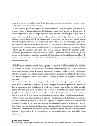 forma de avisar al resto de las células de que hay un invasor que intenta entrar y de que es hora
forma de avisar al resto de las células de que hay un invasor que intenta entrar y de que es hora
de activar una respuesta todavía mayor.
de activar una respuesta todavía mayor.
Estas proteínas que formaban parte del agente infeccioso y que se exponen en la membrana
Estas proteínas que formaban parte del agente infeccioso y que se exponen en la membrana
de estas células se llaman antígenos. Un antígeno es una molécula que no forma parte de
de estas células se llaman antígenos. Un antígeno es una molécula que no forma parte de
nuestro organismo y que el cuerpo reconoce como sustancia extraña, por lo que activa la
nuestro organismo y que el cuerpo reconoce como sustancia extraña, por lo que activa la
respuesta inmunitari
respuesta inmunitaria. Por eso
a. Por eso este tipo de c
este tipo de células se
élulas se llaman células
llaman células fagocíti
fagocíticas presentadora
cas presentadoras de
s de
antígeno, porque fagocitan el microorganismo y presentan sus antígenos a otras células
antígeno, porque fagocitan el microorganismo y presentan sus antígenos a otras células
inmunitarias para activarlas. Un ejemplo de estas células son los macrófagos, que hacen
inmunitarias para activarlas. Un ejemplo de estas células son los macrófagos, que hacen
principalmente tres cosas: fagocitan bacterias y virus, presentan sus antígenos a las células
principalmente tres cosas: fagocitan bacterias y virus, presentan sus antígenos a las células
necesarias para pot
necesarias para potenciar la respuesta inmunitaria y secretan sus
enciar la respuesta inmunitaria y secretan sustancias que
tancias que estimu
estimulan la fiebre.
lan la fiebre.
Hasta aquí ha quedado claro que estos tipos de células, además de fagocitar agentes
Hasta aquí ha quedado claro que estos tipos de células, además de fagocitar agentes
infecciosos, presentan sus antígenos a «otras células»... ¿Pero qué células son estas? ¿Cuáles
infecciosos, presentan sus antígenos a «otras células»... ¿Pero qué células son estas? ¿Cuáles
son las que continúan la respuesta inmunitaria? Concretamente, las células presentadoras de
son las que continúan la respuesta inmunitaria? Concretamente, las células presentadoras de
antígeno activan un tipo de células llamadas linfocitos T, que iniciarán la siguiente fase de la
antígeno activan un tipo de células llamadas linfocitos T, que iniciarán la siguiente fase de la
respuesta inmunitaria.
respuesta inmunitaria.
Si te fijas, esta r
Si te fijas, esta respuesta es como un
espuesta es como una cadena, en la que u
a cadena, en la que unas células alertan y activan a otra
nas células alertan y activan a otras,
s,
y estas a otras, y así sucesivamente hasta expandir la respuesta de defensa. Hasta aquí, todos los
y estas a otras, y así sucesivamente hasta expandir la respuesta de defensa. Hasta aquí, todos los
mecanismos que
mecanismos que hemos visto (las
hemos visto (las barrer
barreras naturales y las c
as naturales y las células fagocíticas) forman parte de la
élulas fagocíticas) forman parte de la
respuesta inmunitaria innata. Se trata de una primera respuesta rápida y genérica, similar ante
respuesta inmunitaria innata. Se trata de una primera respuesta rápida y genérica, similar ante
todos los patógenos. No obstante, cuando se presentan los antígenos a los linfocitos T, se activa
todos los patógenos. No obstante, cuando se presentan los antígenos a los linfocitos T, se activa
una segunda respuesta mucho más potente, dirigida y eficaz: la respuesta inmunitaria
una segunda respuesta mucho más potente, dirigida y eficaz: la respuesta inmunitaria
específica.
específica.
Los linfocitos T se llaman así porque se desarrollan en el timo (un órgano situado en el
Los linfocitos T se llaman así porque se desarrollan en el timo (un órgano situado en el
pecho, entre el corazón y el esternón), y tienen dos tipos de funciones principales. Algunos de
pecho, entre el corazón y el esternón), y tienen dos tipos de funciones principales. Algunos de
ellos se encargan de destruir todo tipo de células que consideren extrañas o alteradas, como las
ellos se encargan de destruir todo tipo de células que consideren extrañas o alteradas, como las
células infectadas por virus (así evitan que el virus se expanda), las células foráneas (por
células infectadas por virus (así evitan que el virus se expanda), las células foráneas (por
ejemplo, las que provienen de un trasplante), e incluso las células tumorales. Son como una
ejemplo, las que provienen de un trasplante), e incluso las células tumorales. Son como una
especie de «cuerpo de policía» que patrulla po
especie de «cuerpo de policía» que patrulla por el organismo en busca
r el organismo en busca de células sospechosas.
de células sospechosas.
Pero, por otro lado, hay linfocitos que más que ejecutar la respuesta la regulan. Se encargan
Pero, por otro lado, hay linfocitos que más que ejecutar la respuesta la regulan. Se encargan
de activar, controlar y, cuando es necesario, suprimir la respuesta inmunitaria. Actúan como
de activar, controlar y, cuando es necesario, suprimir la respuesta inmunitaria. Actúan como
mediadores: reciben la «alerta de infección» de las células presentadoras de antígeno y activan
mediadores: reciben la «alerta de infección» de las células presentadoras de antígeno y activan
otras células para que resuelvan el problema; estas iniciarán la siguiente etapa de la respuesta
otras células para que resuelvan el problema; estas iniciarán la siguiente etapa de la respuesta
inmunitaria. Una respuesta incluso más potente, protagonizada por unas de las moléculas más
inmunitaria. Una respuesta incluso más potente, protagonizada por unas de las moléculas más
famosas e importantes de la inmunología: las inmunoglobulinas, más conocidas como
famosas e importantes de la inmunología: las inmunoglobulinas, más conocidas como
anticuerpos.
anticuerpos.
Quien tuvo retuvo
Quien tuvo retuvo
Los linfocitos T son
Los linfocitos T son el tipo más abundante, de acu
el tipo más abundante, de acuerdo, per
erdo, pero no son
o no son el único. Existe otro tipo de
el único. Existe otro tipo de
 