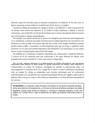 linfocitos igual de esenciales para la respuesta inmunitaria: los linfocitos B. En este caso, se
linfocitos igual de esenciales para la respuesta inmunitaria: los linfocitos B. En este caso, se
llaman así porque se desarrolla
llaman así porque se desarrollan en
n en la médula ósea (b
la médula ósea (bone marrow
one marrow, en inglés).
, en inglés).
Cuando las células presentadoras de antígeno alertan a los linfocitos T sobre la presencia de
Cuando las células presentadoras de antígeno alertan a los linfocitos T sobre la presencia de
un intruso, estos activan los linfocitos B. Al recibir la señal, comienzan a fabricar y secretar
un intruso, estos activan los linfocitos B. Al recibir la señal, comienzan a fabricar y secretar
anticuerpos, unas moléculas con forma de tirachinas que se unen a los agentes infecciosos para
anticuerpos, unas moléculas con forma de tirachinas que se unen a los agentes infecciosos para
que se les
que se les localice y elimine más fácilmente.
localice y elimine más fácilmente.
Por ejemplo, son capaces de detectar y unirse a los antígenos que tienen los
Por ejemplo, son capaces de detectar y unirse a los antígenos que tienen los microorga
microorganismos
nismos
en su
en su membrana, a modo de marcador
membrana, a modo de marcador, de forma que las
, de forma que las células fagocíticas los encu
células fagocíticas los encuentren y los
entren y los
destruyan lo antes posible. Pero hacen algo más que actuar como simples banderines, porque
destruyan lo antes posible. Pero hacen algo más que actuar como simples banderines, porque
pueden incluso rodear e inmovilizar un microorganismo para que no escape, o aglutinar varias
pueden incluso rodear e inmovilizar un microorganismo para que no escape, o aglutinar varias
bacterias a la vez para que puedan fagocitarse más fácilmente. Los anticuerpos no son células
bacterias a la vez para que puedan fagocitarse más fácilmente. Los anticuerpos no son células
de por sí, pero sí un gran apoyo para el resto del equipo.
de por sí, pero sí un gran apoyo para el resto del equipo.
En realidad, no se comienzan a sintetizar anticuerpos así, a bote pronto. Cuando los linfocitos
En realidad, no se comienzan a sintetizar anticuerpos así, a bote pronto. Cuando los linfocitos
T activan los B, los estimu
T activan los B, los estimulan para que evolucionen a dos tipos distintos de células: unas
lan para que evolucionen a dos tipos distintos de células: unas
pensadas para actuar al momento y otras como reserva a largo plazo.
pensadas para actuar al momento y otras como reserva a largo plazo.
Por un lado, algunos linfocitos B se diferenciarán en células plasmáticas, que secretarán
Por un lado, algunos linfocitos B se diferenciarán en células plasmáticas, que secretarán
anticuerpos para destruir lo antes posible el agente infeccioso. En cambio, otros linfocitos B
anticuerpos para destruir lo antes posible el agente infeccioso. En cambio, otros linfocitos B
evolucionarán en células de memoria, encargadas de guardar la información sobre ese
evolucionarán en células de memoria, encargadas de guardar la información sobre ese
microorganismo y acordarse de él. Así, si algún día se atreve a volver a infectarnos, tendremos
microorganismo y acordarse de él. Así, si algún día se atreve a volver a infectarnos, tendremos
todo un equipo de células ya preparadas para secretar anticuerpos que lo reconocerán
todo un equipo de células ya preparadas para secretar anticuerpos que lo reconocerán
específicamente a él, y producirán una respuesta inmunitaria mucho más
específicamente a él, y producirán una respuesta inmunitaria mucho más rápi
rápida y masiva que
da y masiva que la
la
pri
primera. Esto es lo que se
mera. Esto es lo que se conoce c
conoce como memoria inmunitar
omo memoria inmunitaria y es la base del func
ia y es la base del funcionamiento de
ionamiento de
las vacunas.
las vacunas.
EN RESUMEN...
EN RESUMEN...La respuesta innata del sistema inmunitario es una primera respuesta genérica,
La respuesta innata del sistema inmunitario es una primera respuesta genérica,
similar para todos los microorganismos, y la forman las barreras de defensa naturales y las células
similar para todos los microorganismos, y la forman las barreras de defensa naturales y las células
fagocíticas. Cuando estas activan los linfocitos T, comienza la respuesta específica, mucho más
fagocíticas. Cuando estas activan los linfocitos T, comienza la respuesta específica, mucho más
dirigida: los T activan los B, y estos se diferencian en células que producen anticuerpos contra el
dirigida: los T activan los B, y estos se diferencian en células que producen anticuerpos contra el
invasor.
invasor.
 