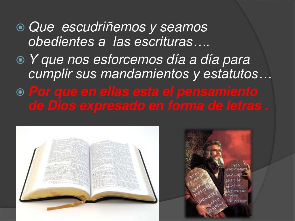 Que quiere decir la palabra amistad....