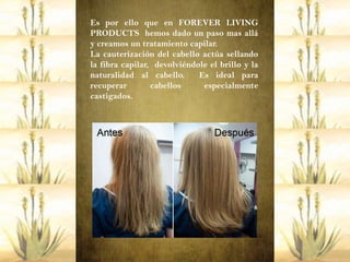 Es por ello que en FOREVER LIVING
PRODUCTS hemos dado un paso mas allá
y creamos un tratamiento capilar.
La cauterización del cabello actúa sellando
la fibra capilar, devolviéndole el brillo y la
naturalidad al cabello.      Es ideal para
recuperar        cabellos     especialmente
castigados.
 