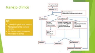 Manejo clínico
QP:
• Queratitis profunda severa
• Adelgazamiento corneal
severo
• Perforaciones inminentes
• Amenaza en limbo
 