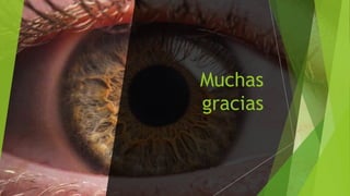 Muchas
gracias
 